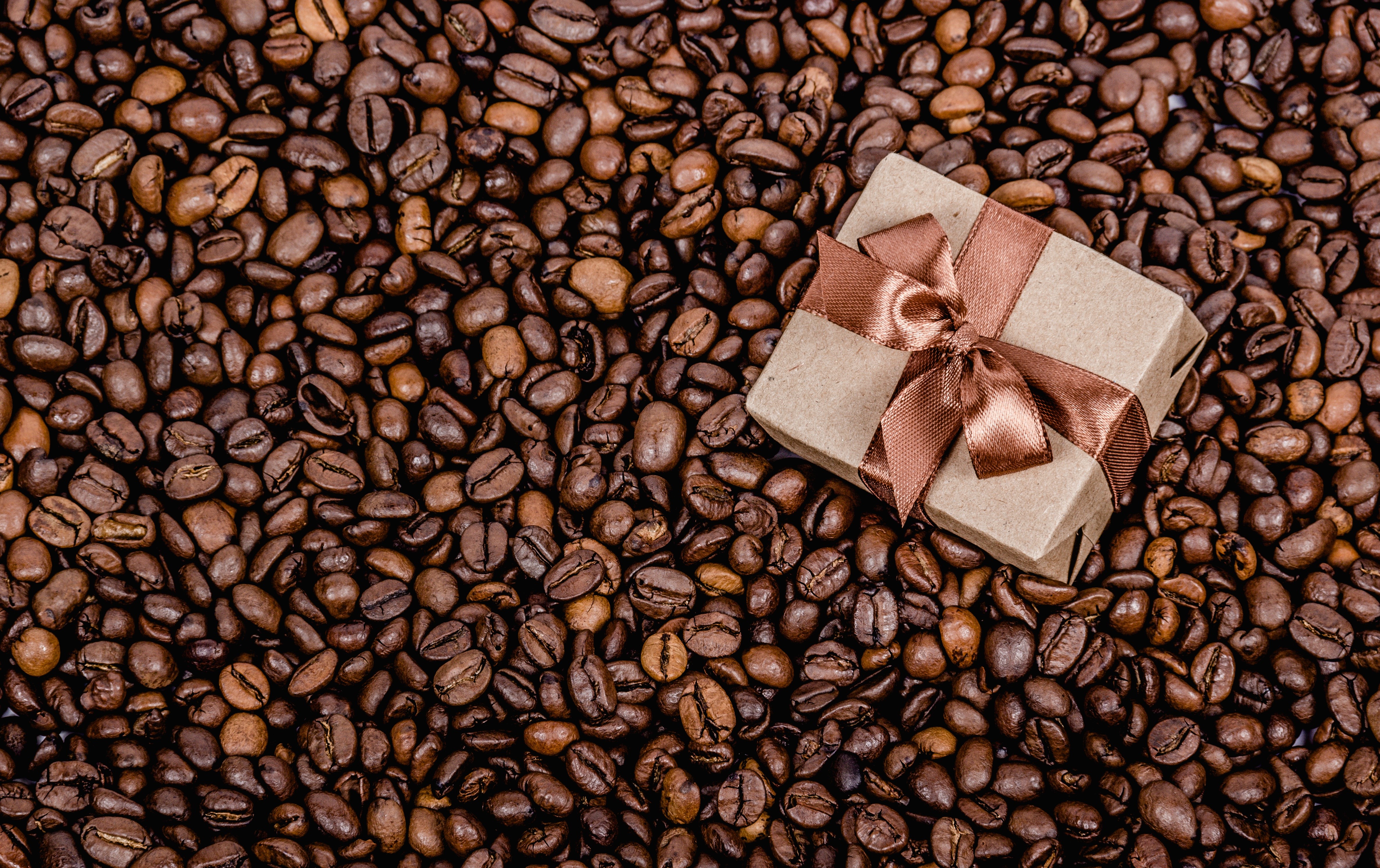 Coffee beans with a gift box and bow HD Wallpaper