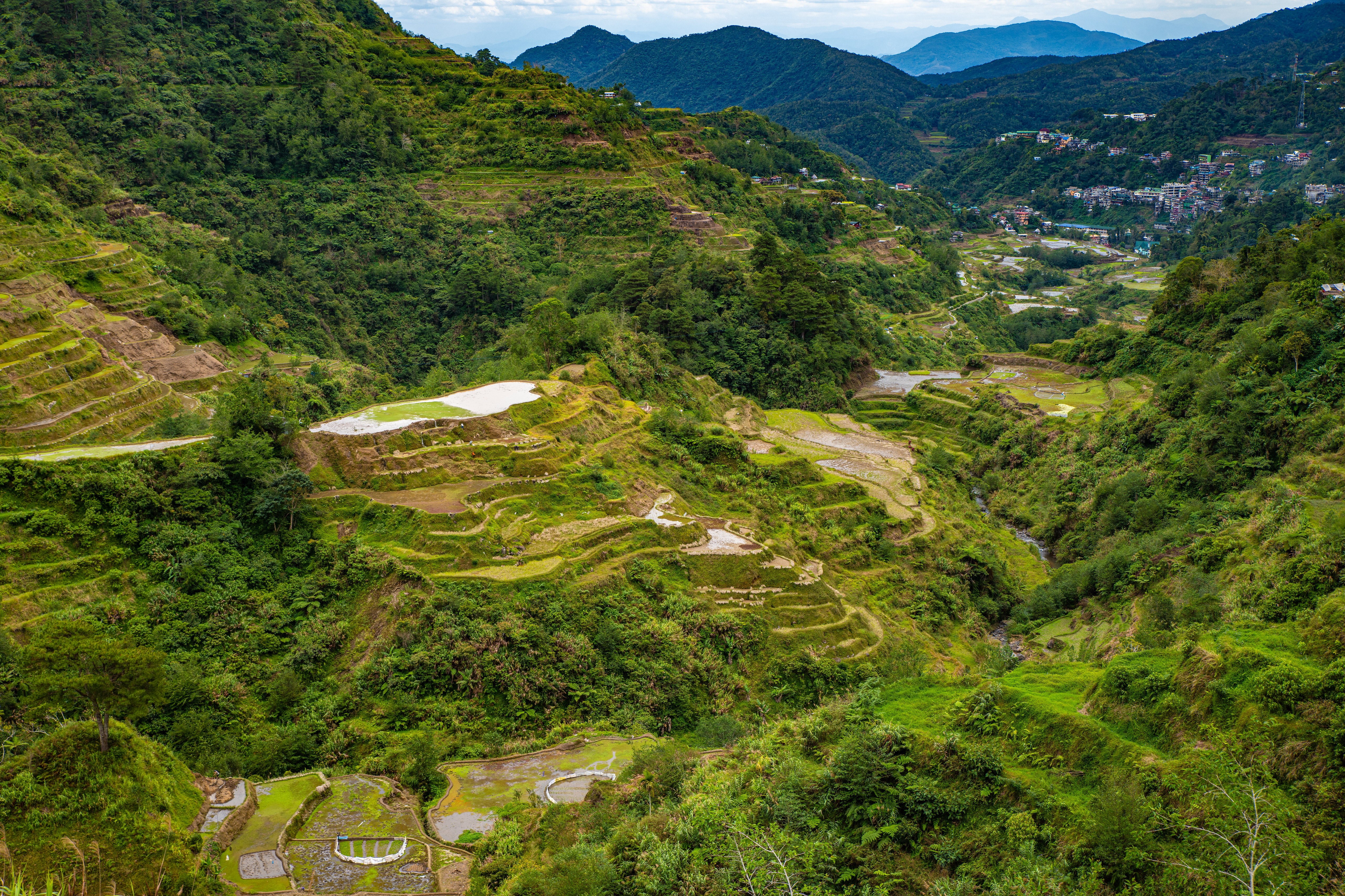 Banaue Rice Terraces in Ifugao, Philippines from Above HD Wallpaper