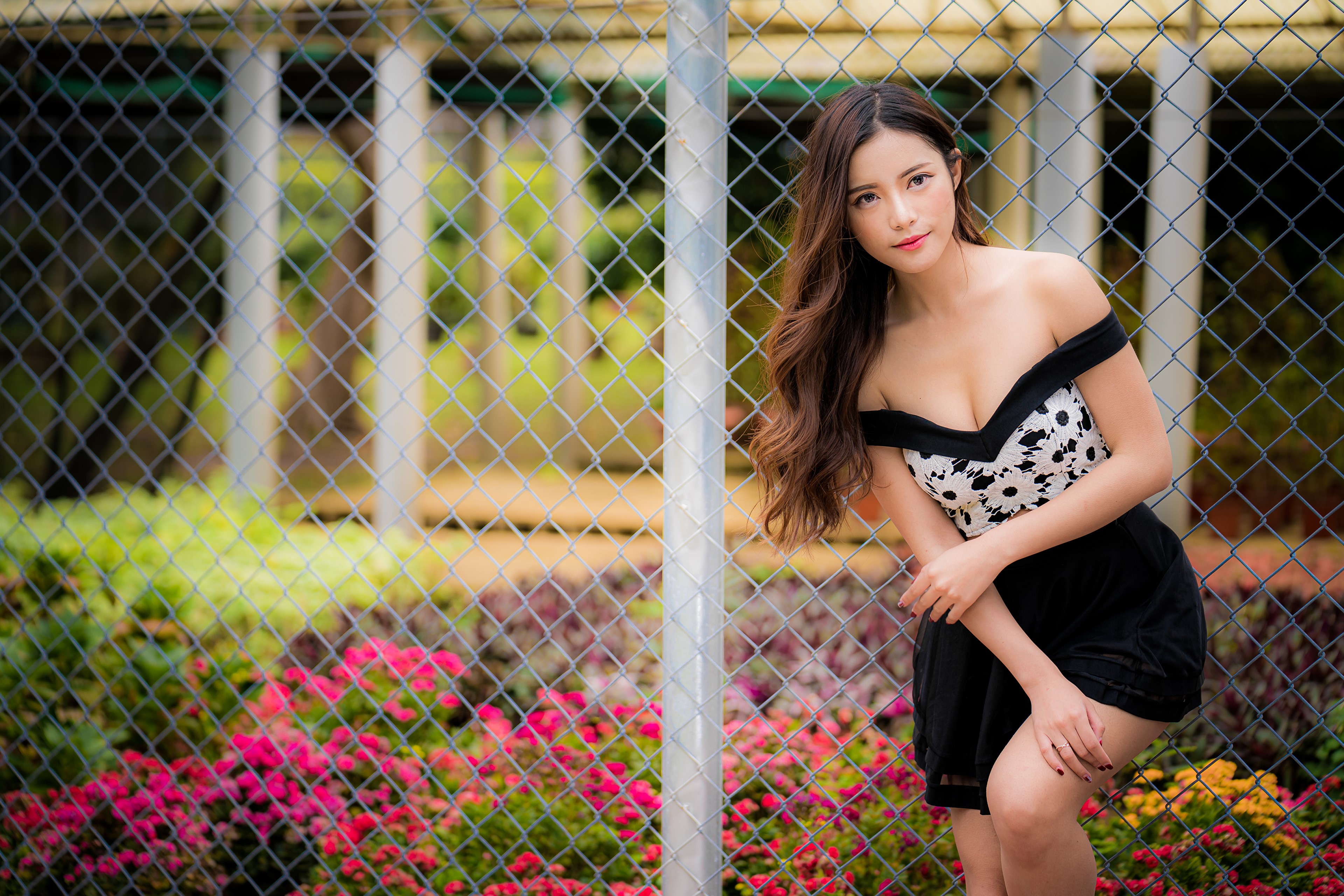 Asian Woman Posing by Fence with Flowers HD Wallpaper