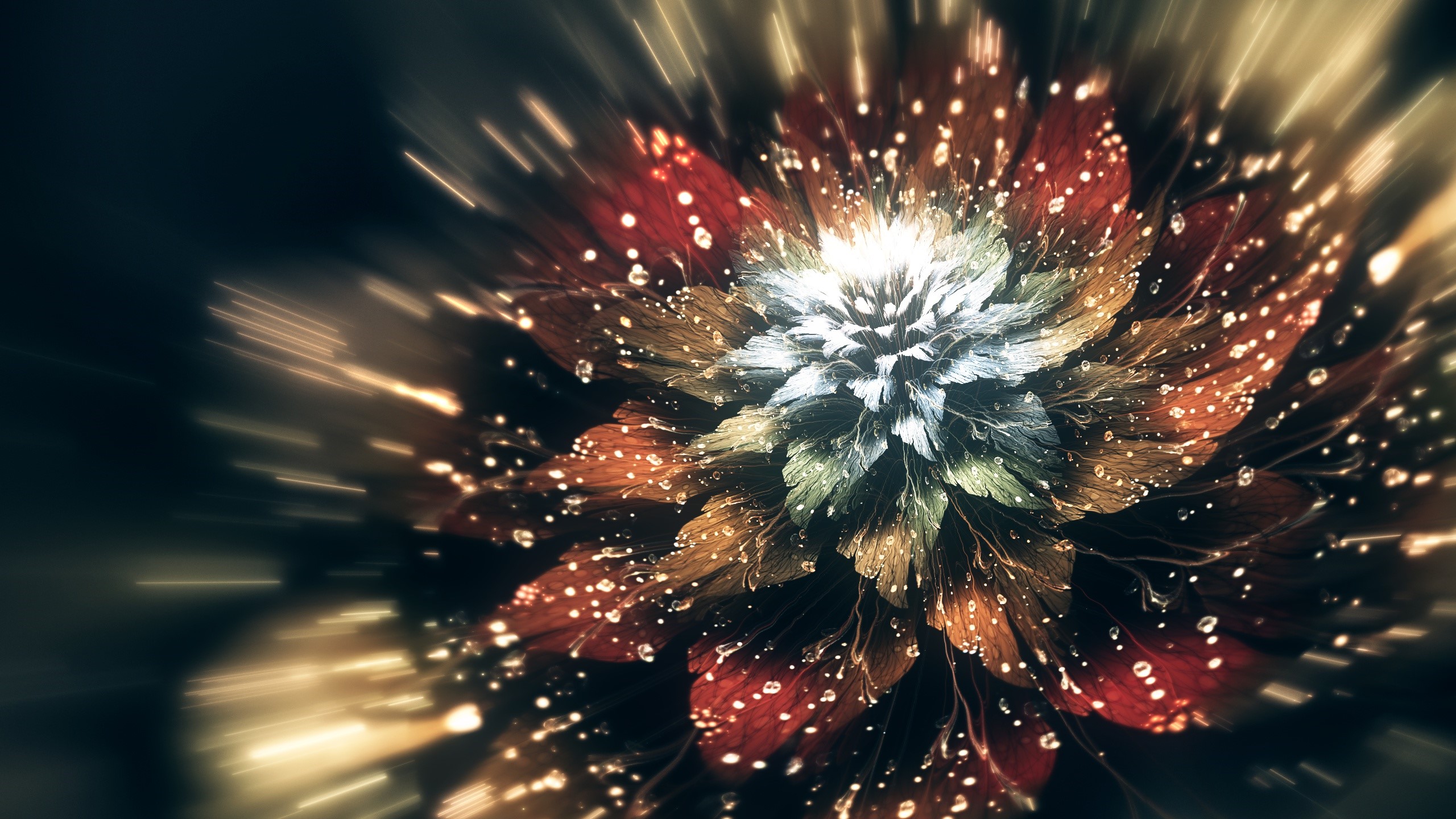 Abstract flower with water drops and light streaks HD Wallpaper