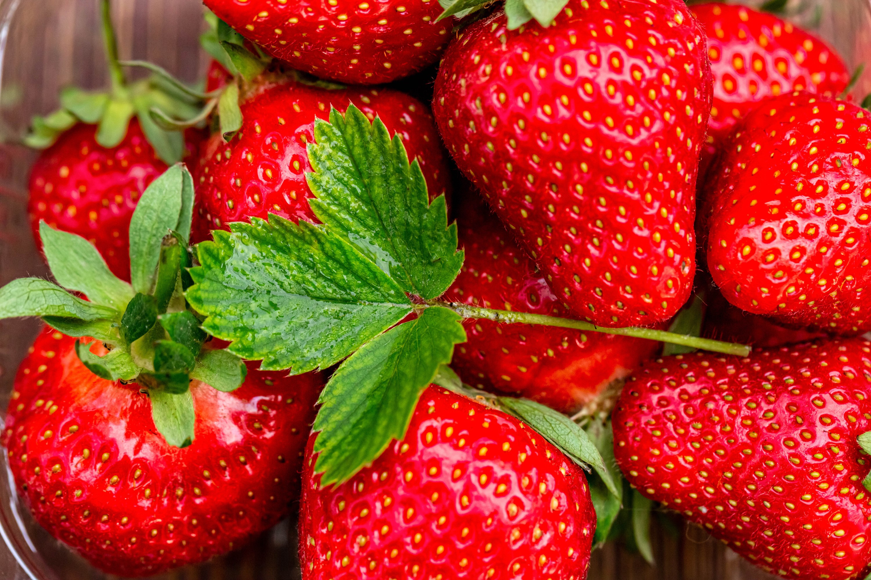 Close-up of fresh strawberries with green leaves HD Wallpaper