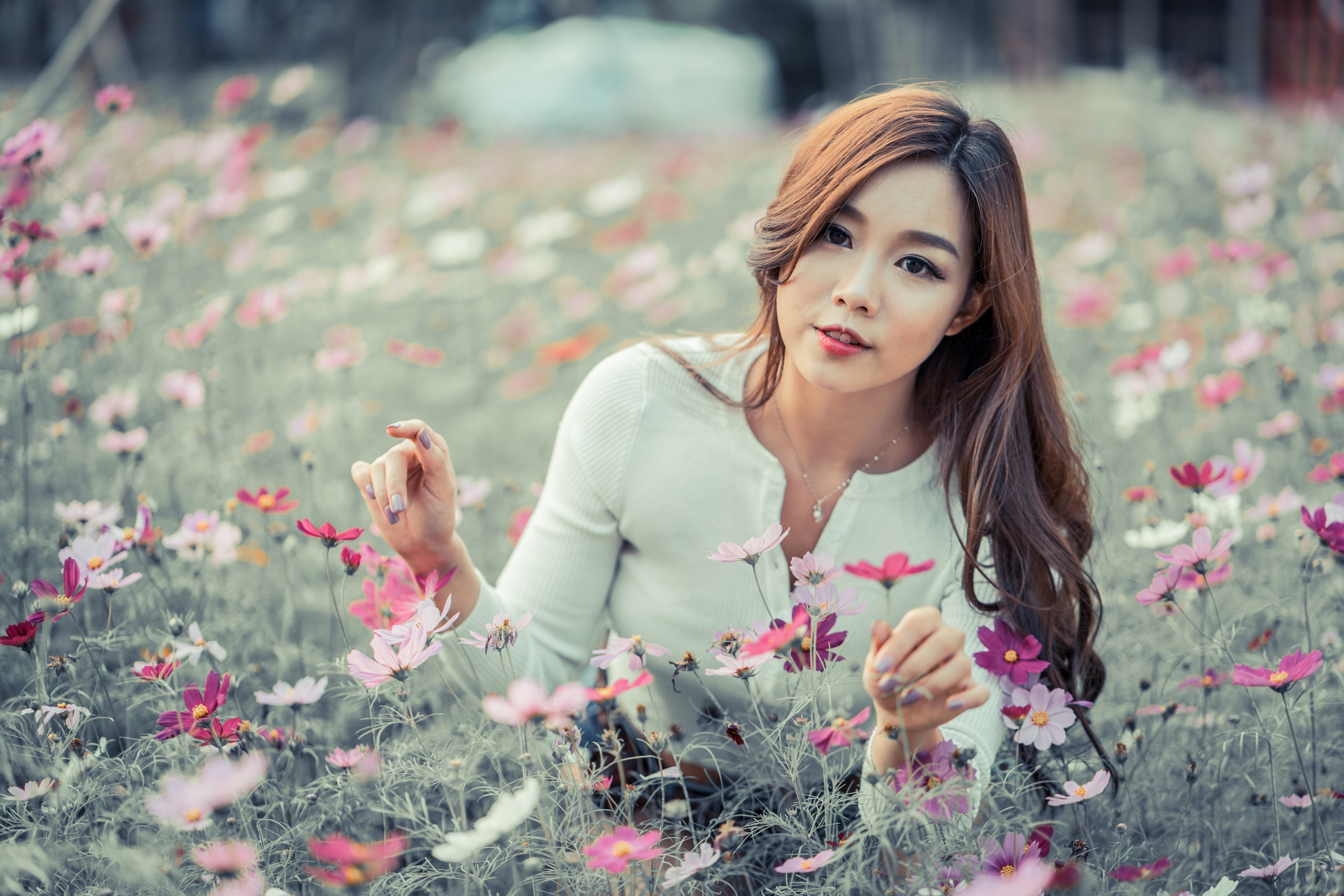 Asian woman with brown hair in a field of flowers HD Wallpaper