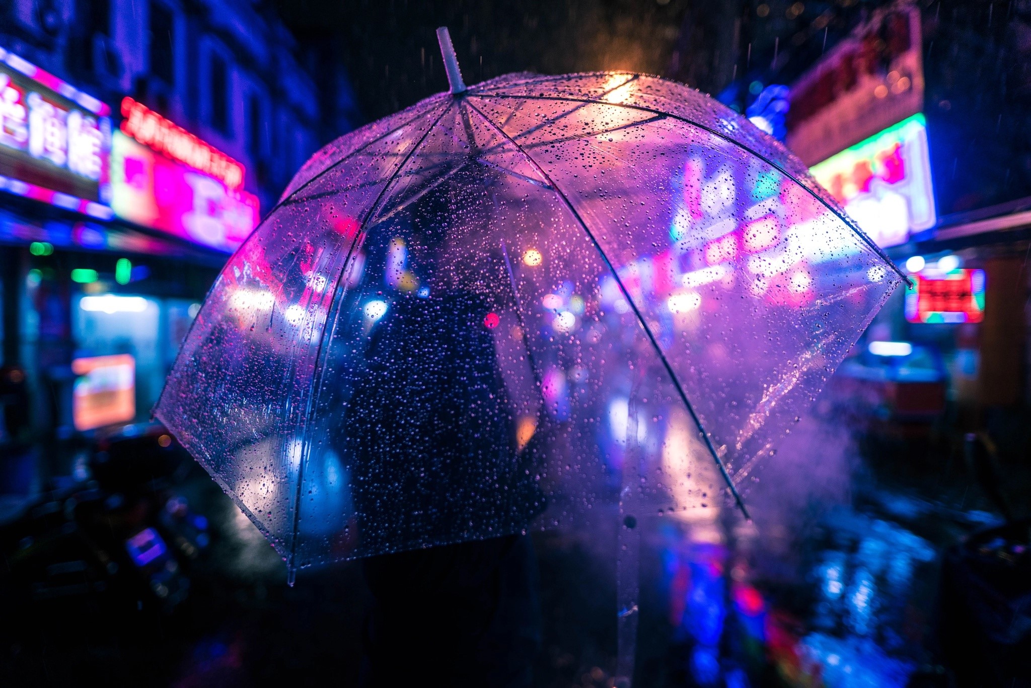 Transparent umbrella in the rain at night with neon lights HD Wallpaper