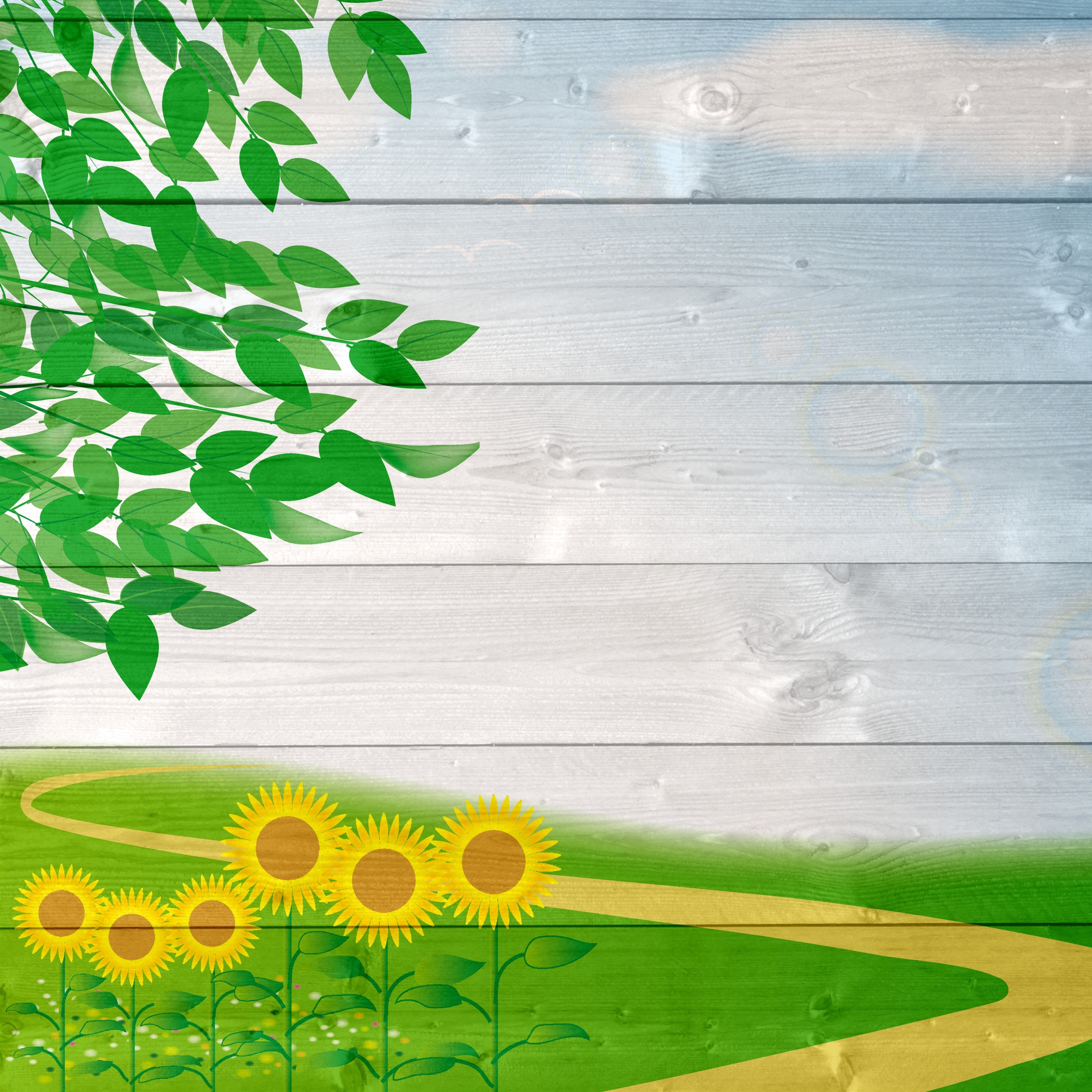 Sunflowers and Green Leaves on Wood Plank Background HD Wallpaper
