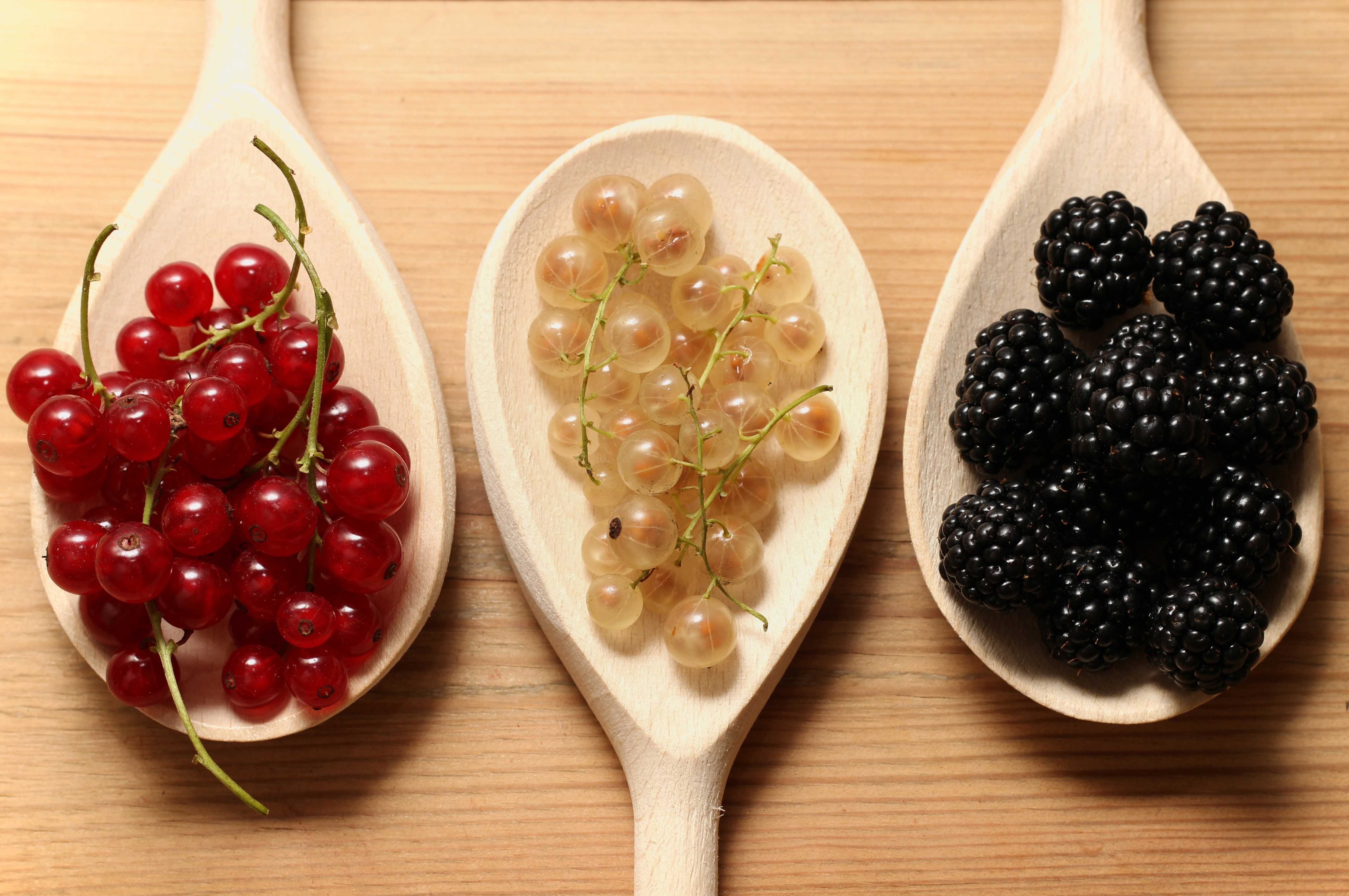 Red Currants, White Currants, and Blackberries on Spoons HD Wallpaper
