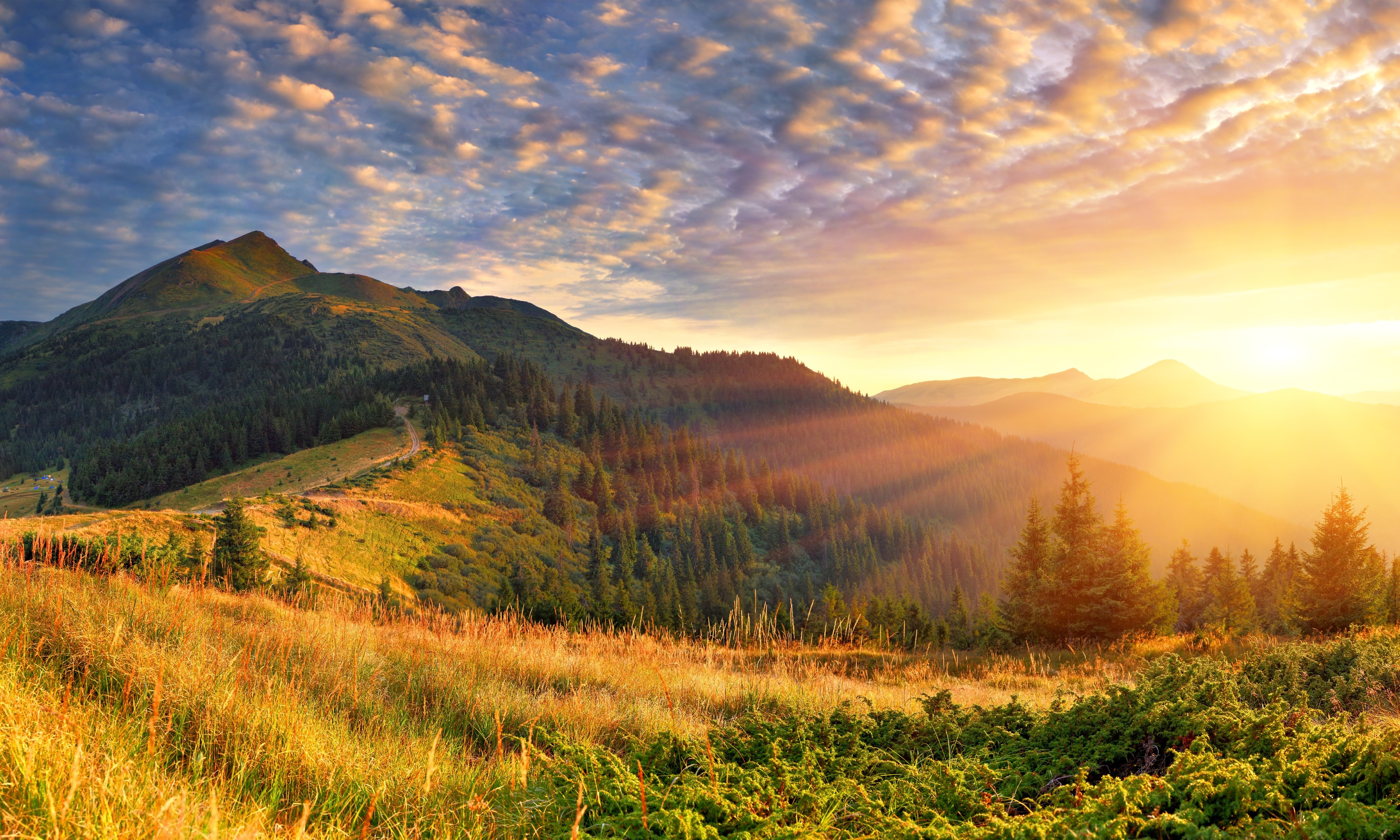 Sunrise over forested mountains with sun rays HD Wallpaper
