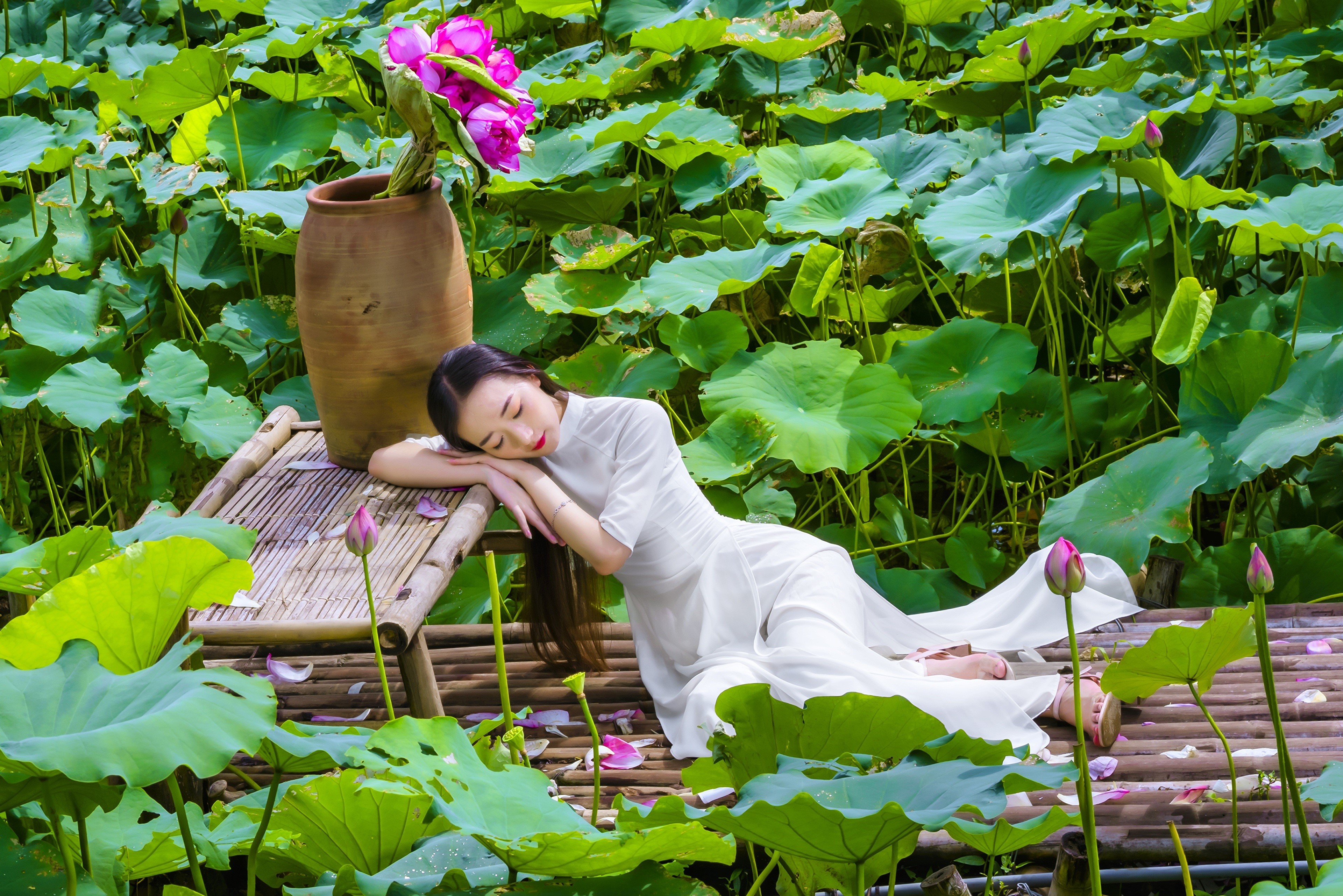 Brunette girl in white dress among lotus flowers HD Wallpaper