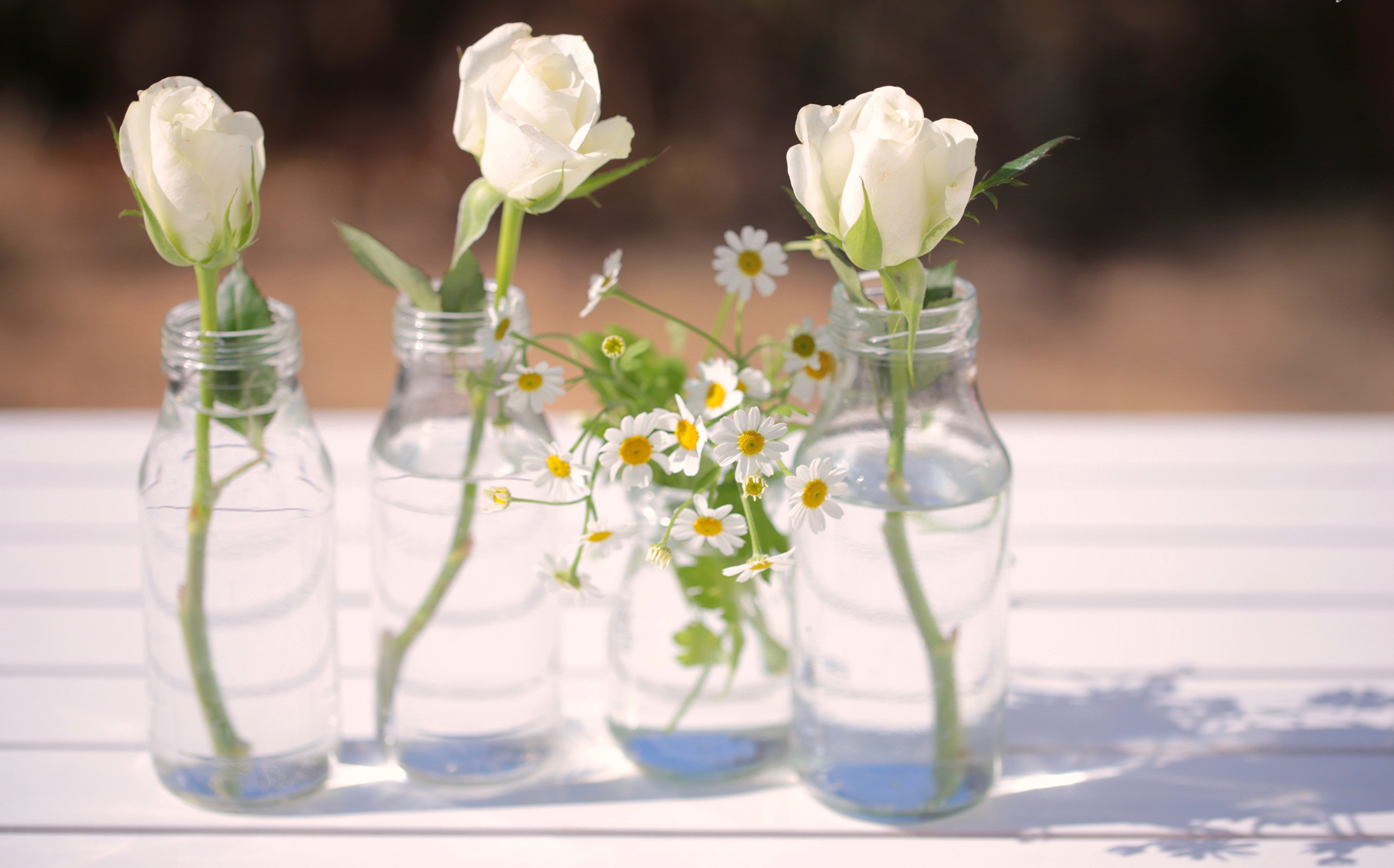 White roses and daisies in glass bottles HD Wallpaper