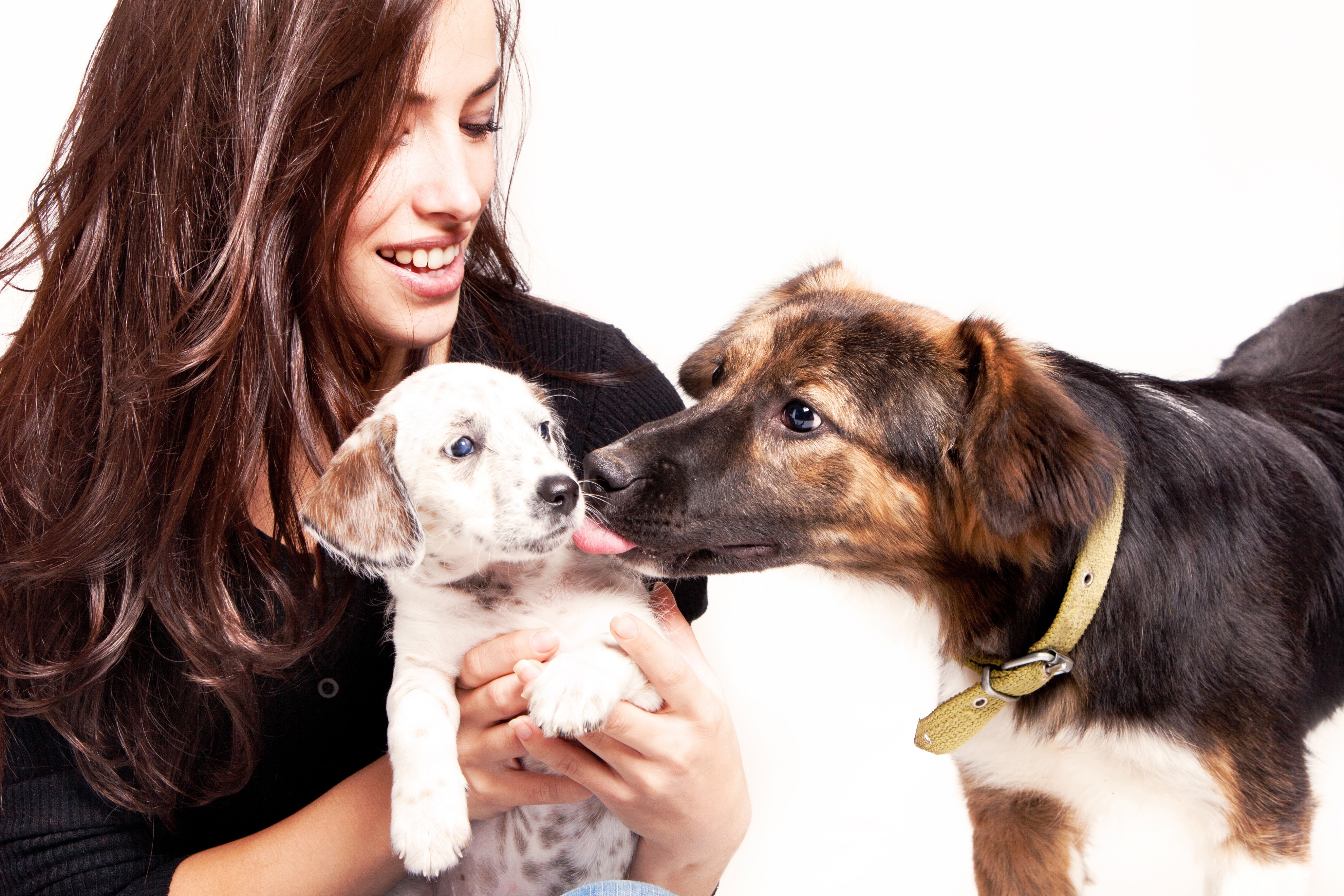 Woman with two dogs, one puppy HD Wallpaper