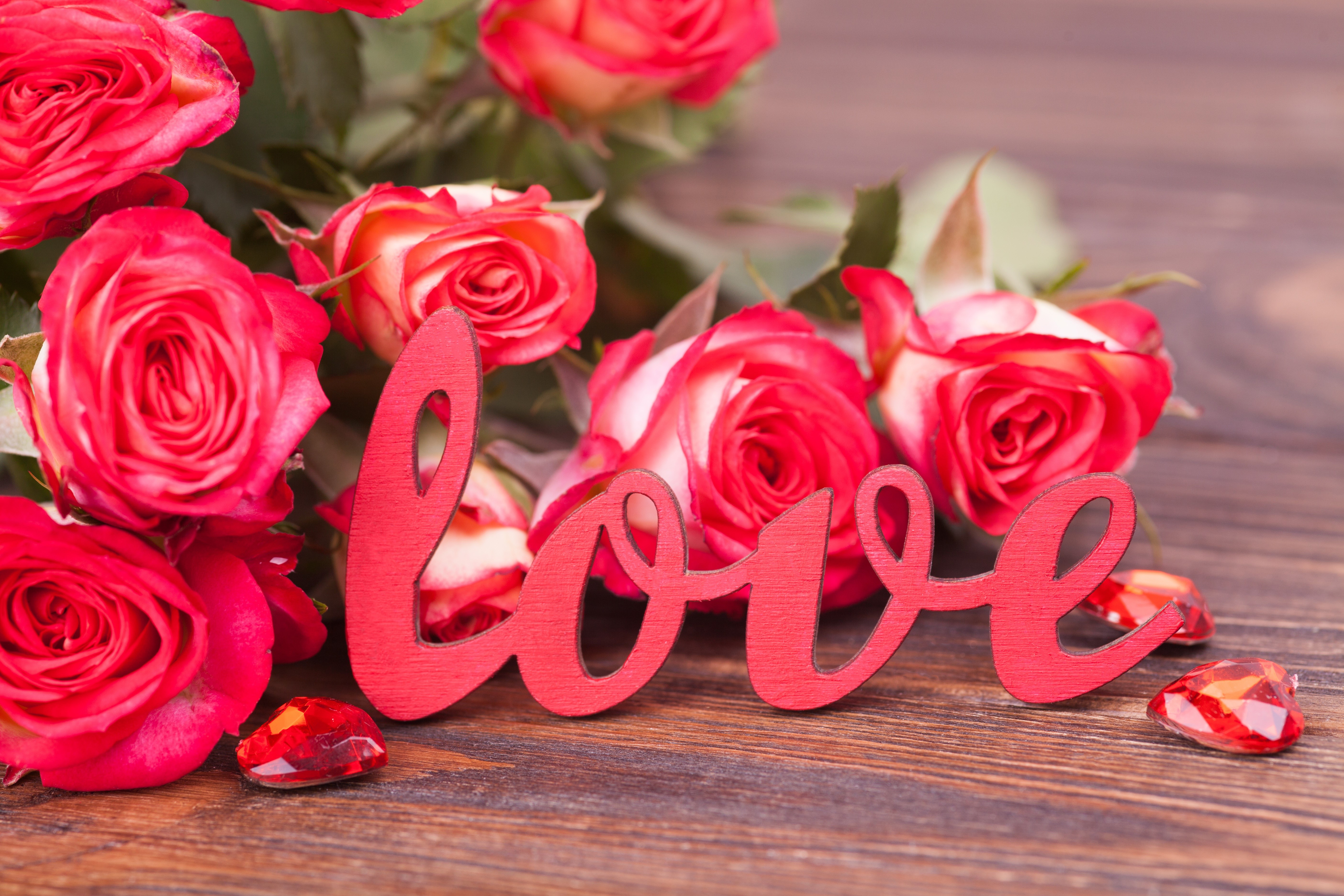 Red Roses and Love Word Decoration HD Wallpaper