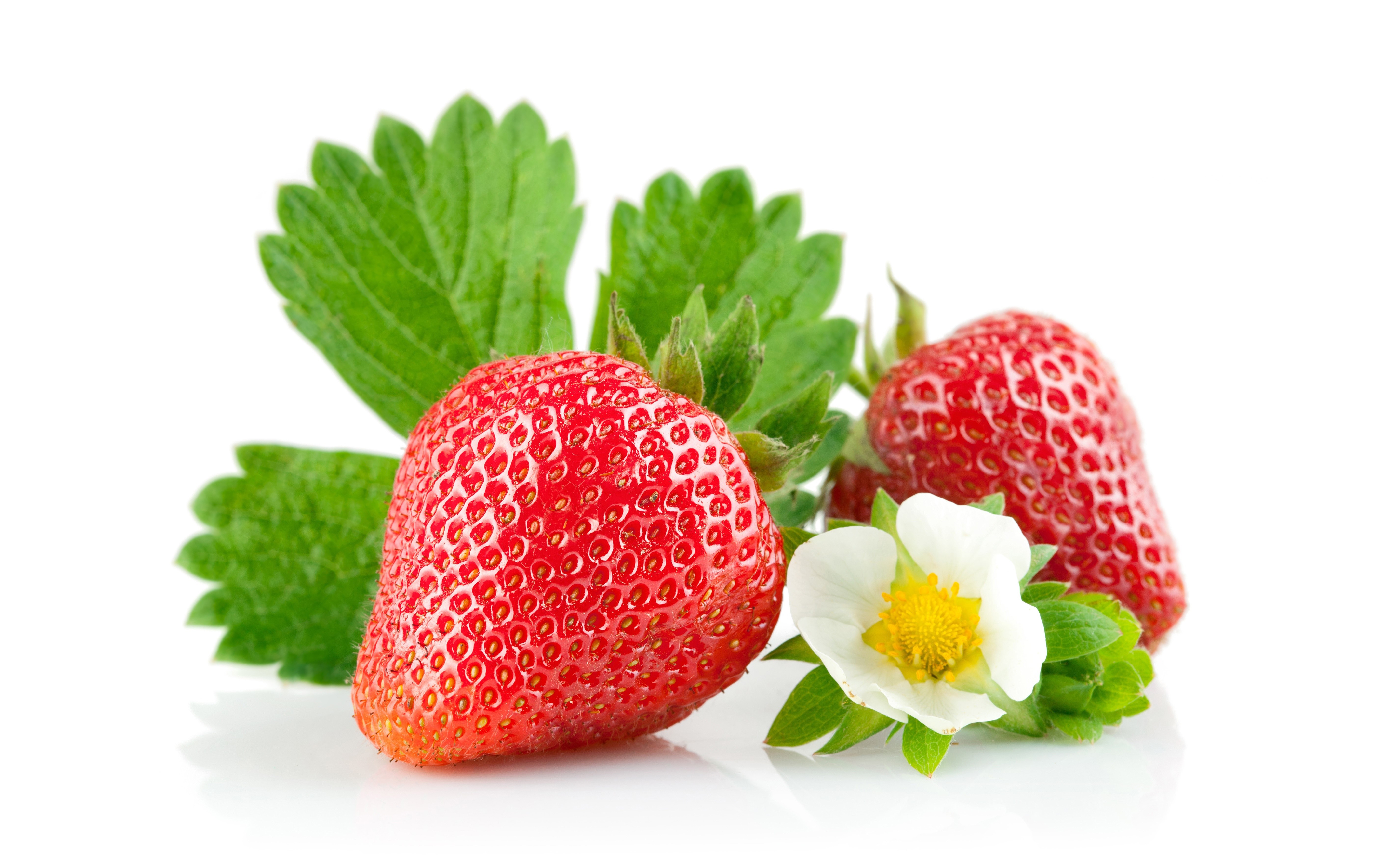 4K Strawberry with Leaves and Flower HD Wallpaper
