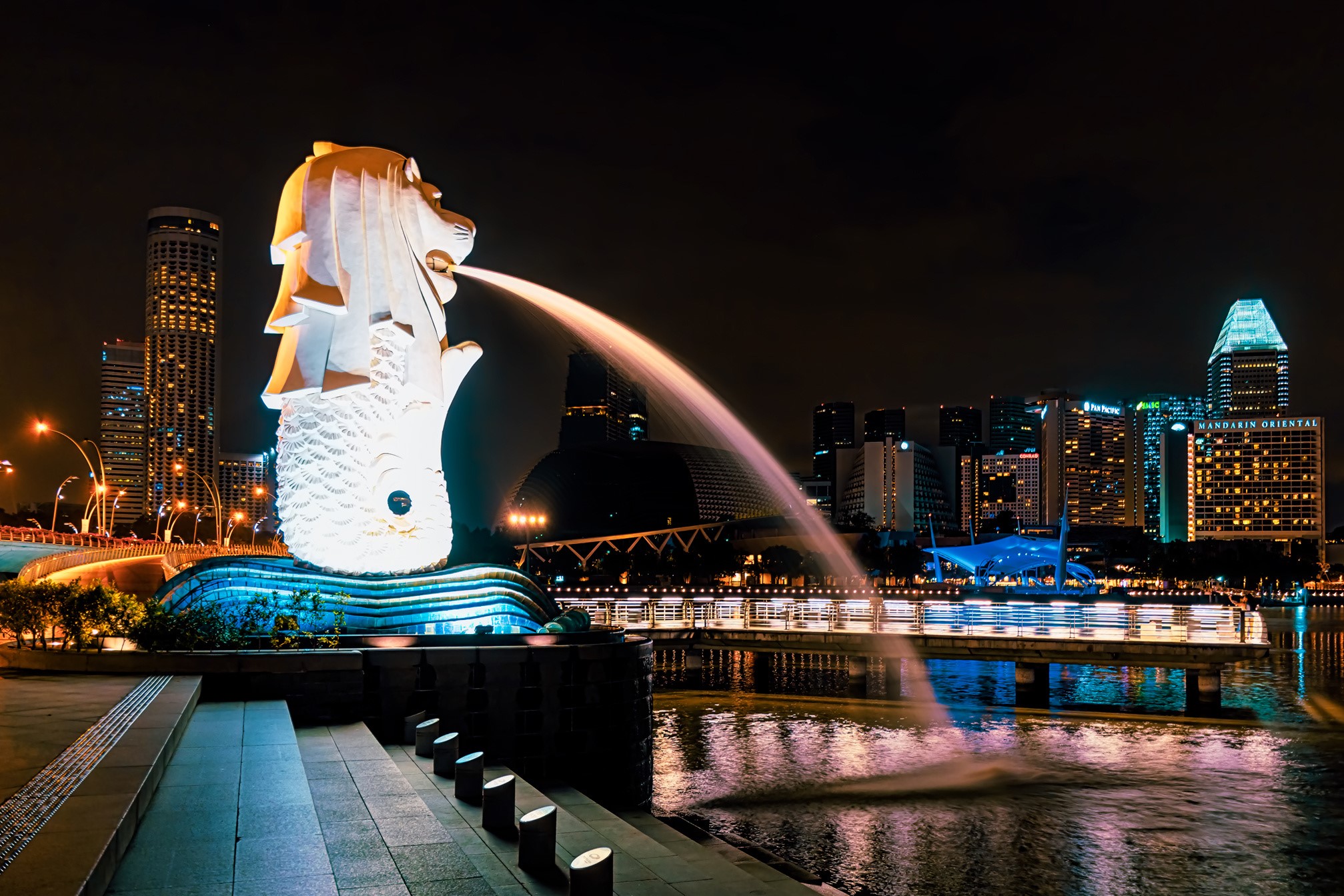 Merlion Fountain and Singapore Skyline at Night HD Wallpaper