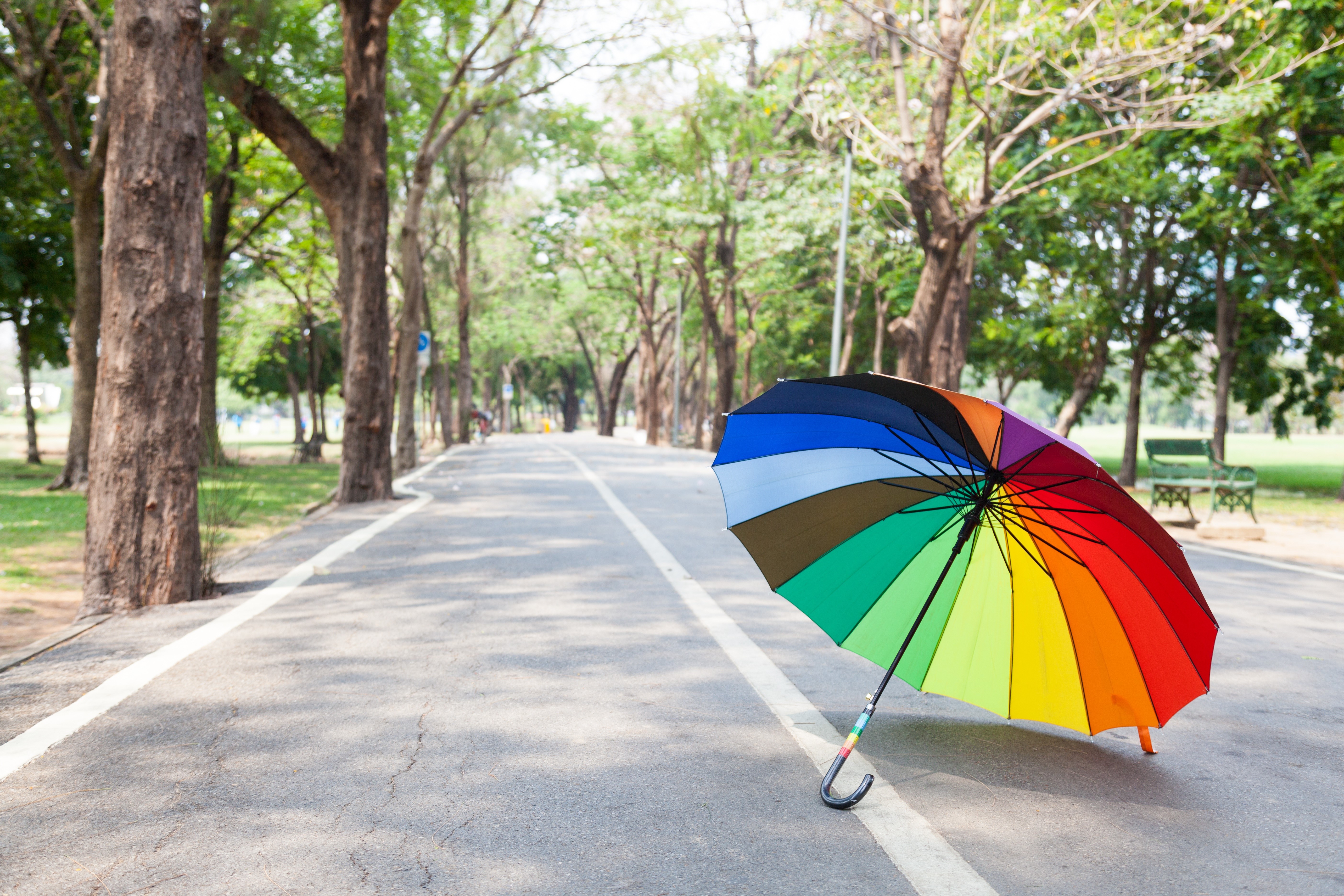 Rainbow umbrella on a park road HD Wallpaper