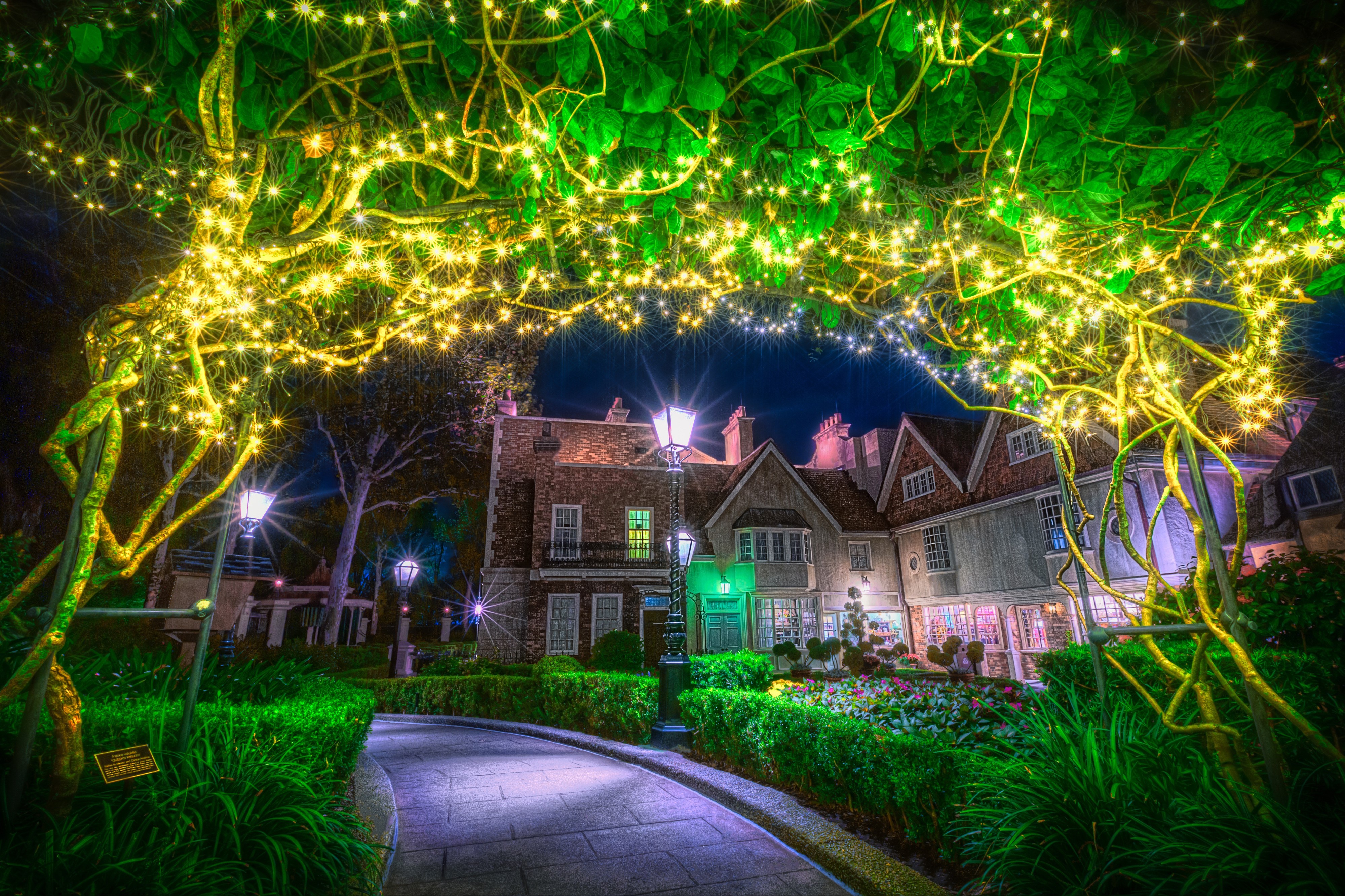 Disneyland California Anaheim Night Street Lights Fairy Lights Houses HD Wallpaper