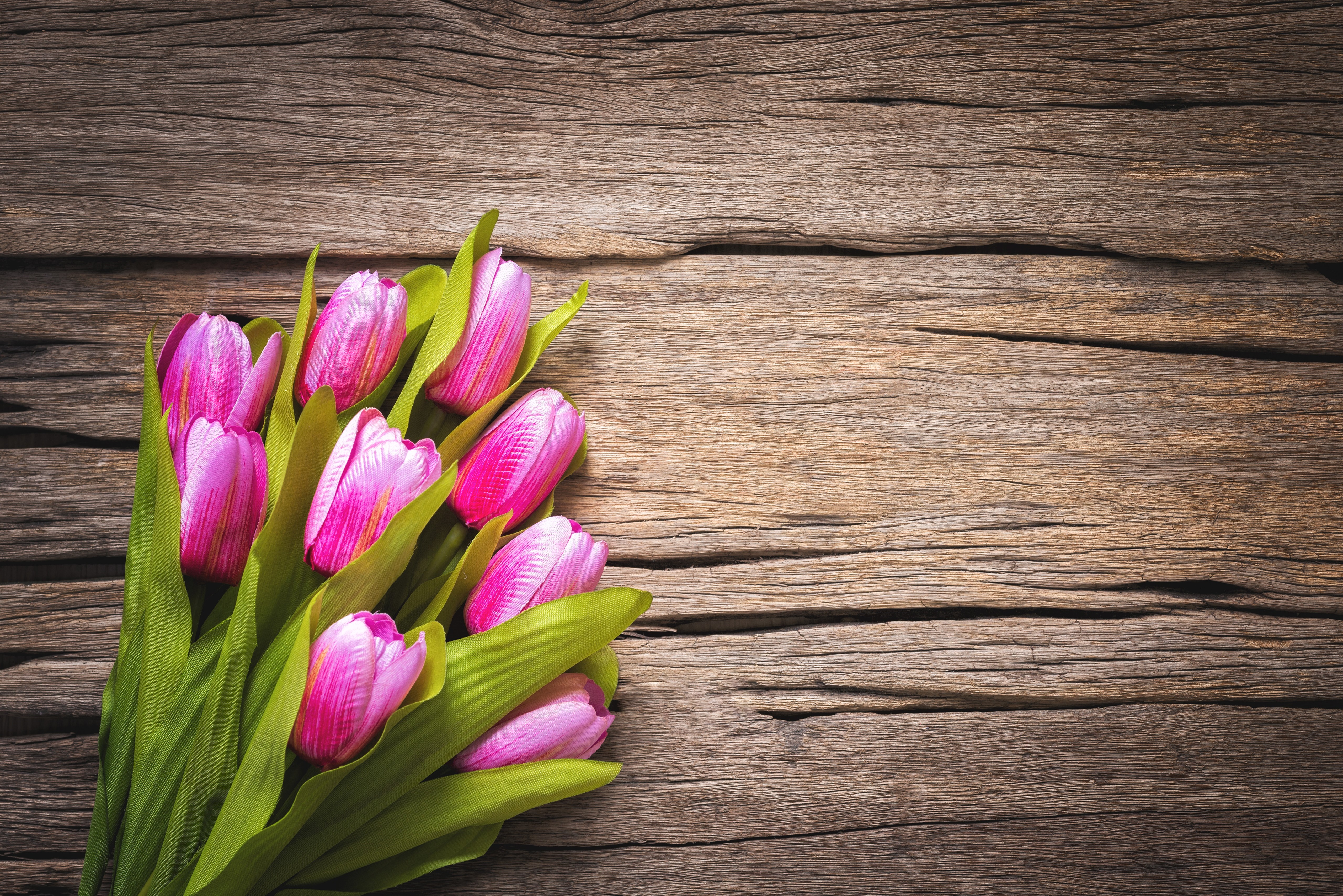 Pink Tulips on a Wooden Background HD Wallpaper