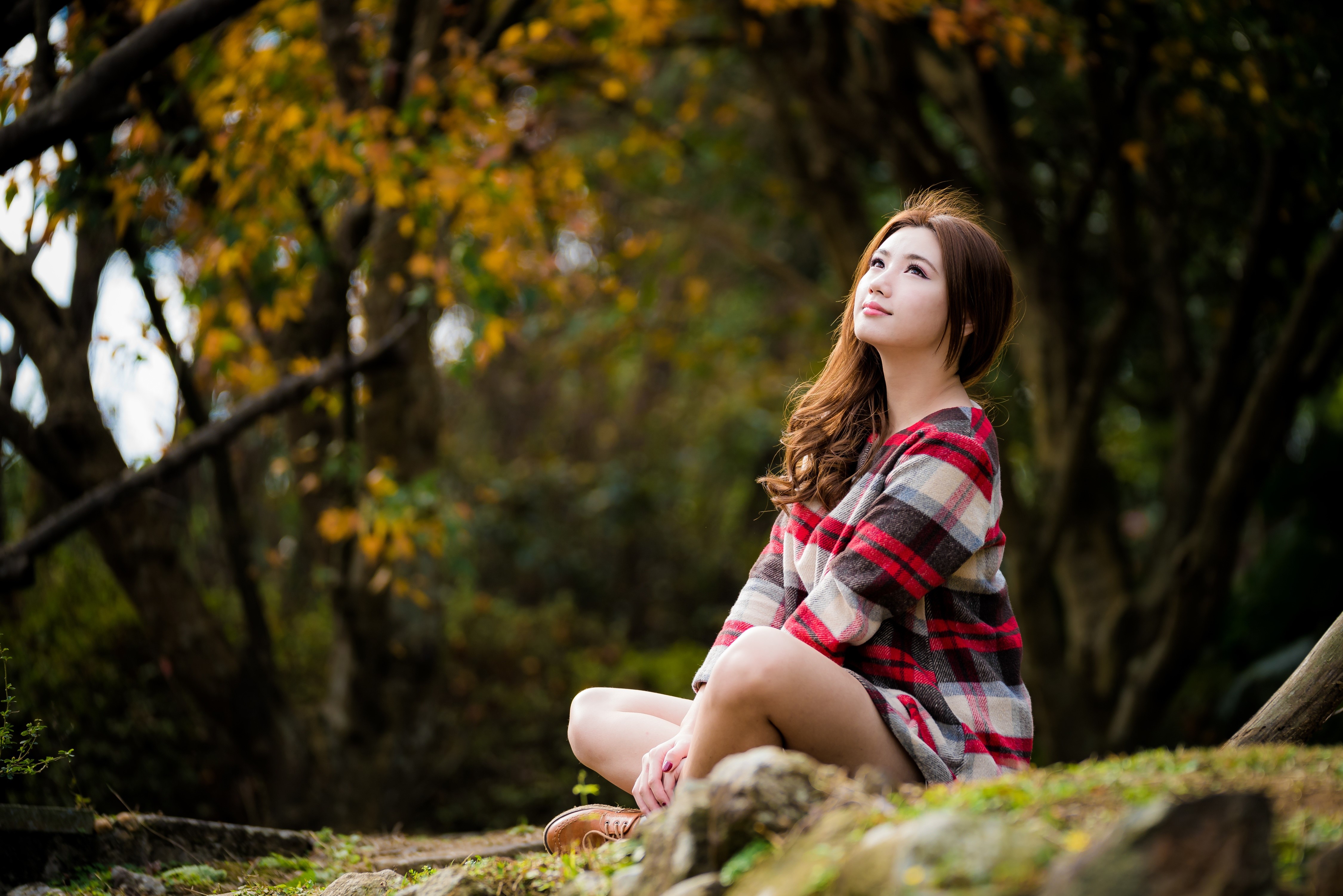 Asian woman with brown hair sitting in a forest HD Wallpaper