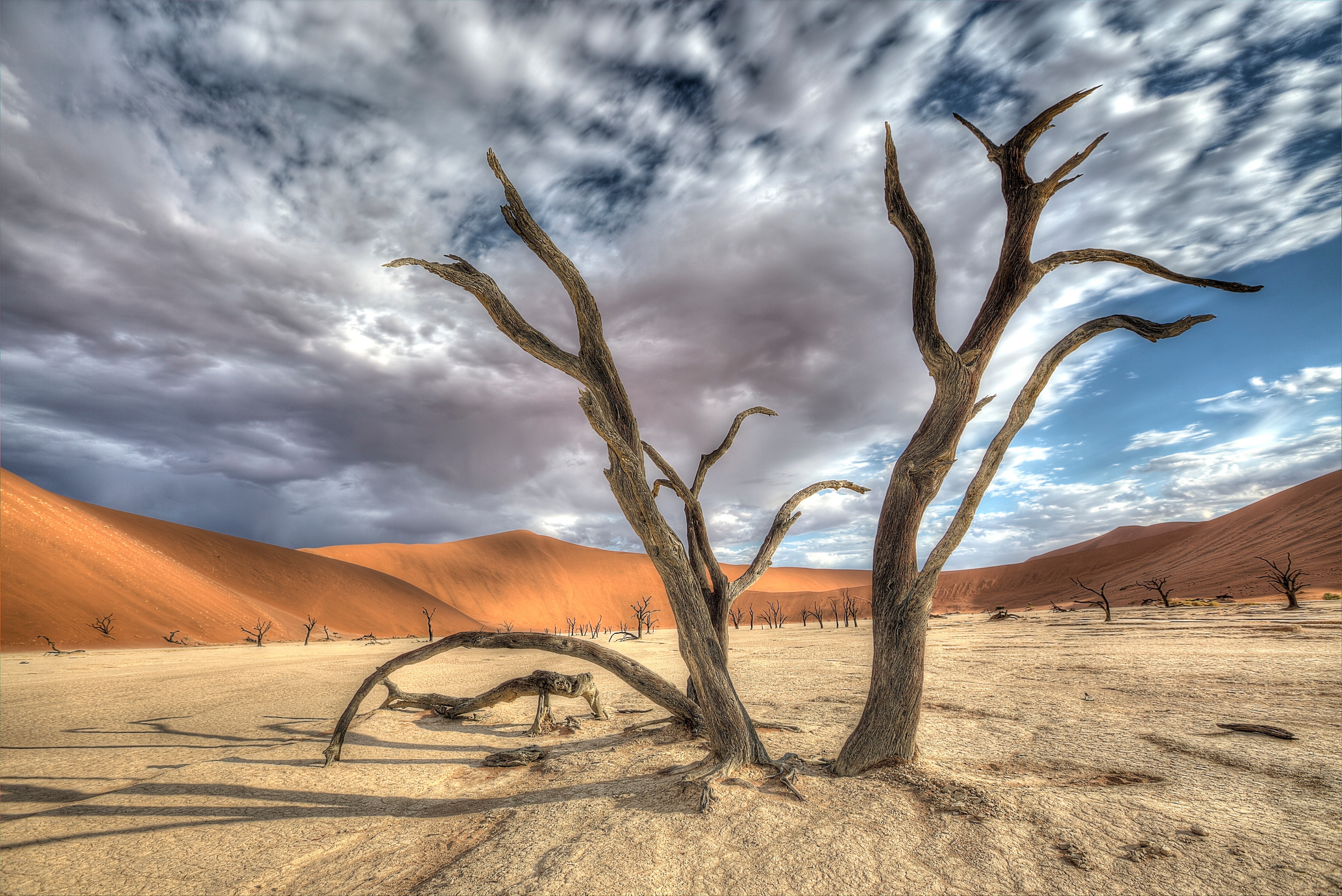 Deadvlei Namibia Desert Landscape with Dead Trees and Dunes HD Wallpaper