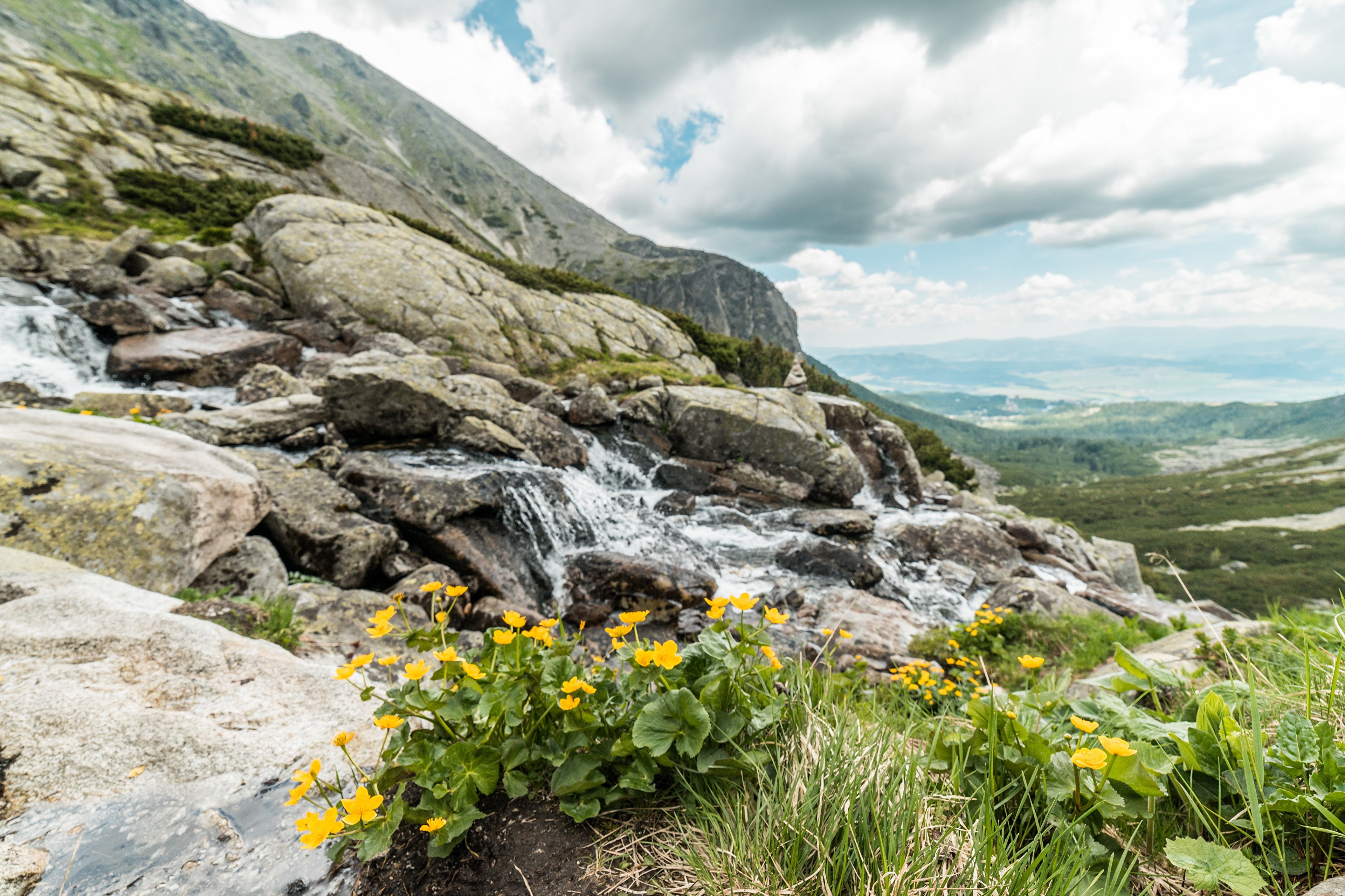 4K Tatra Mountains Slovakia Stream Stones Grass HD Wallpaper