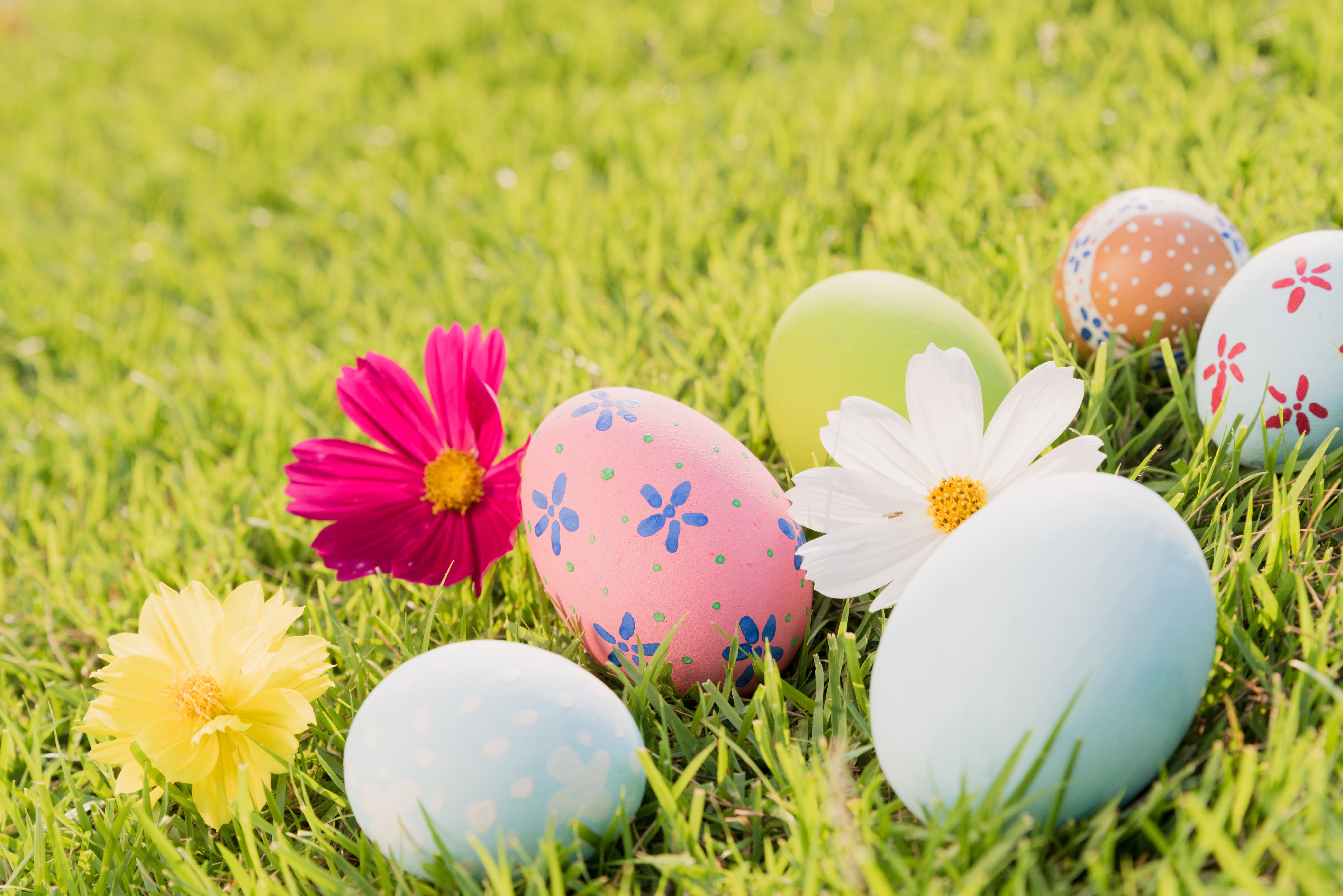 Easter Eggs and Flowers on Green Grass HD Wallpaper
