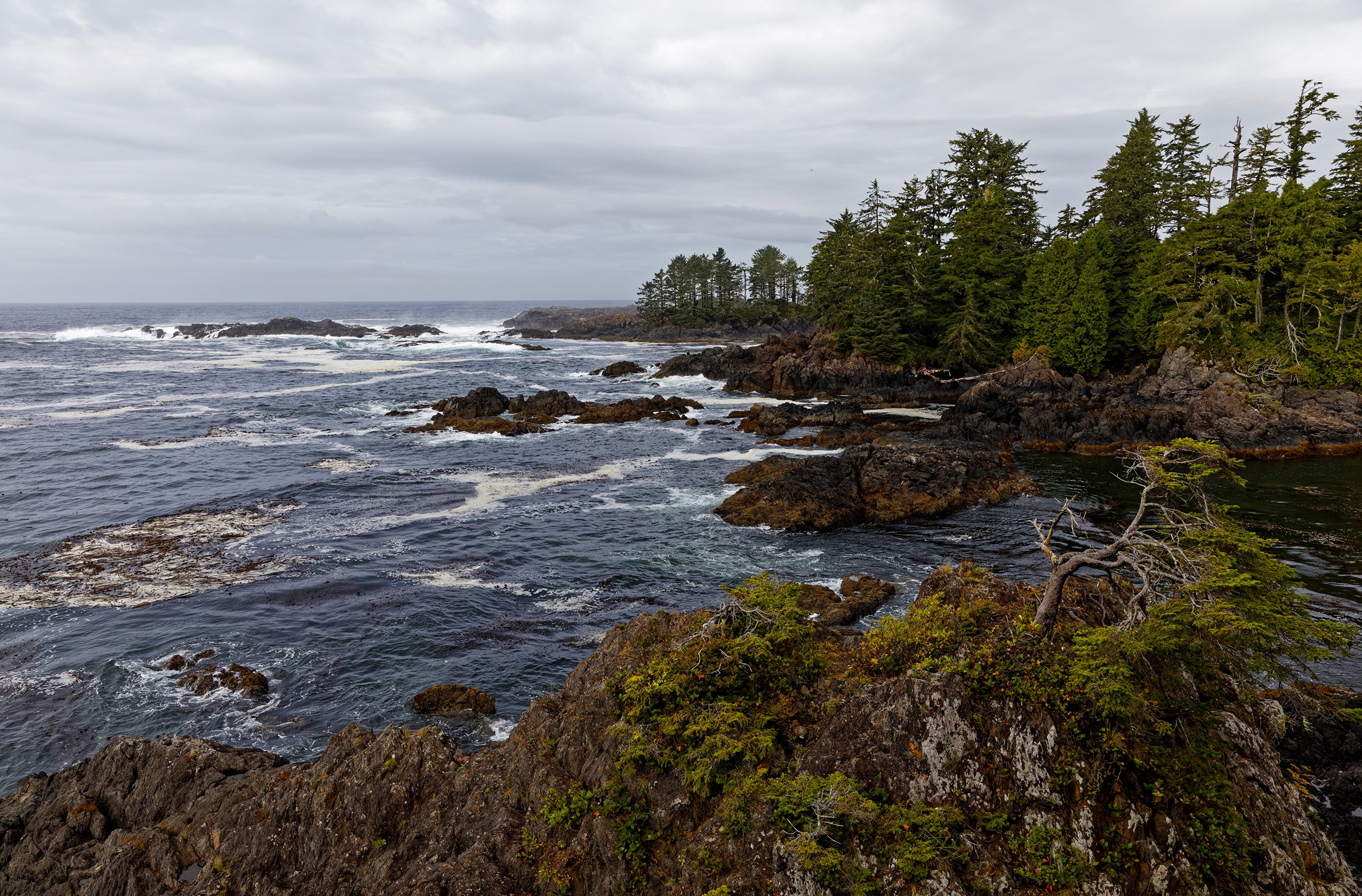 4K Ucluelet British Columbia Coast Ocean Crag Trees HD Wallpaper