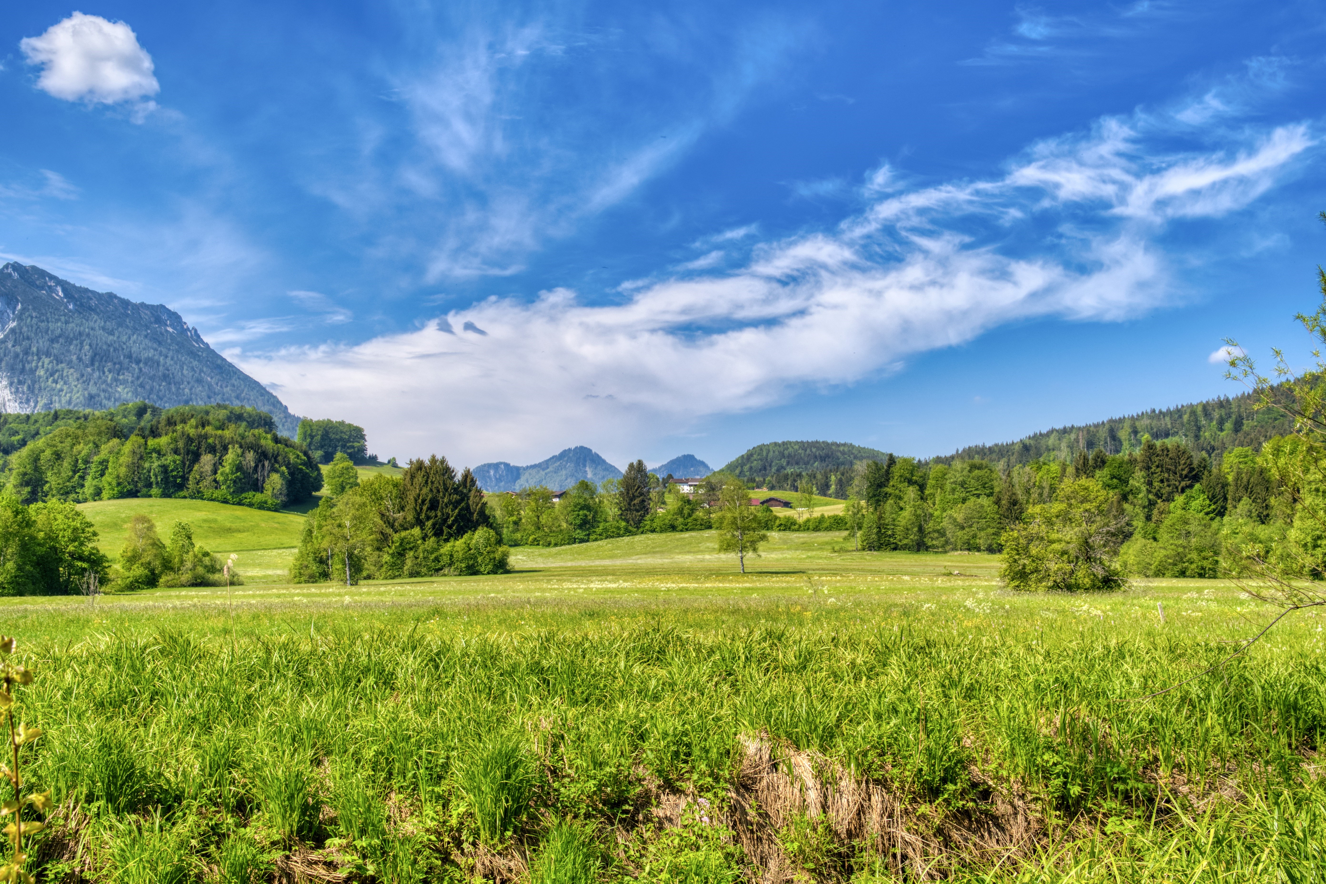 Meadow and Mountains in Bavaria, Germany HD Wallpaper