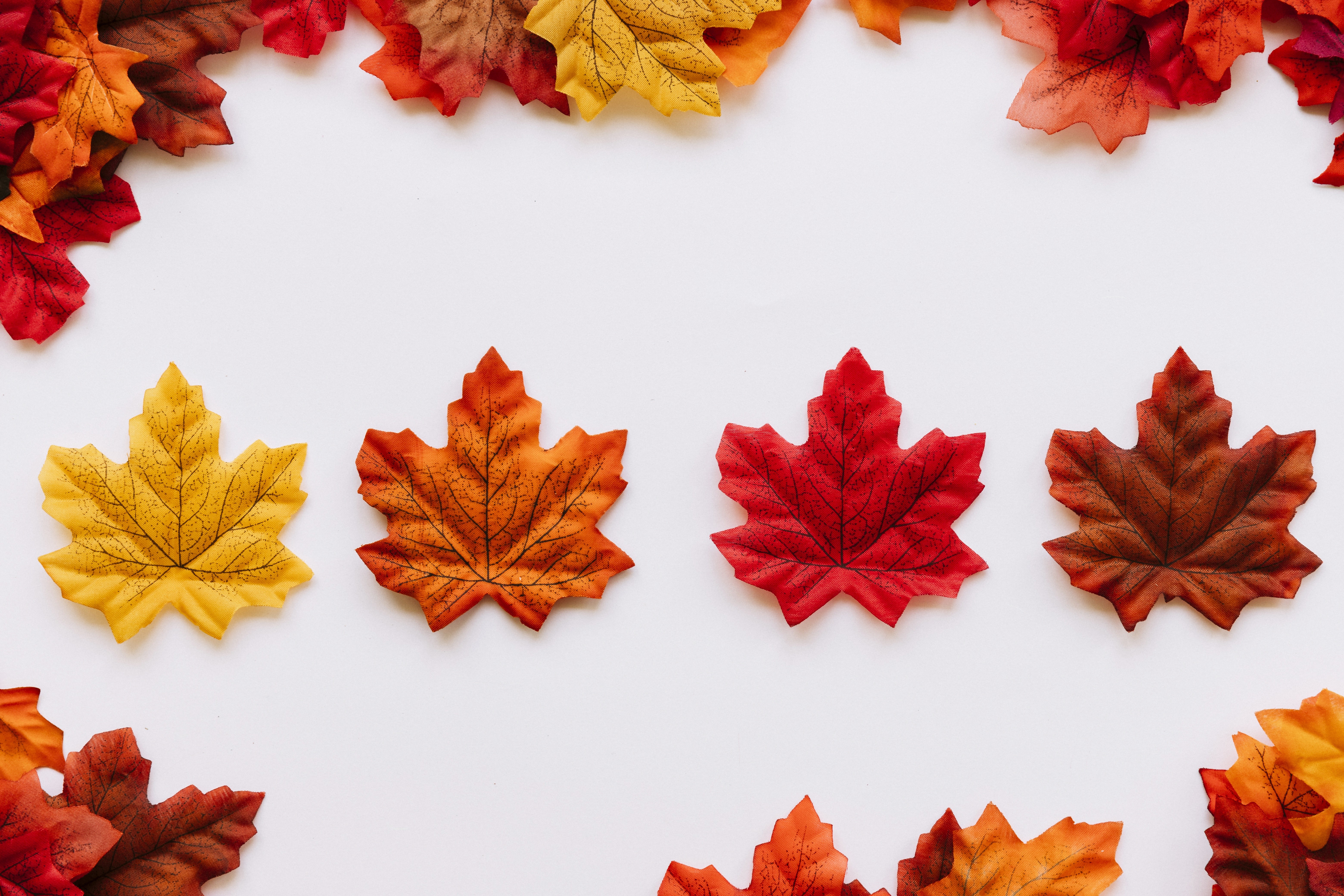 Autumn Maple Leaves Border Template HD Wallpaper