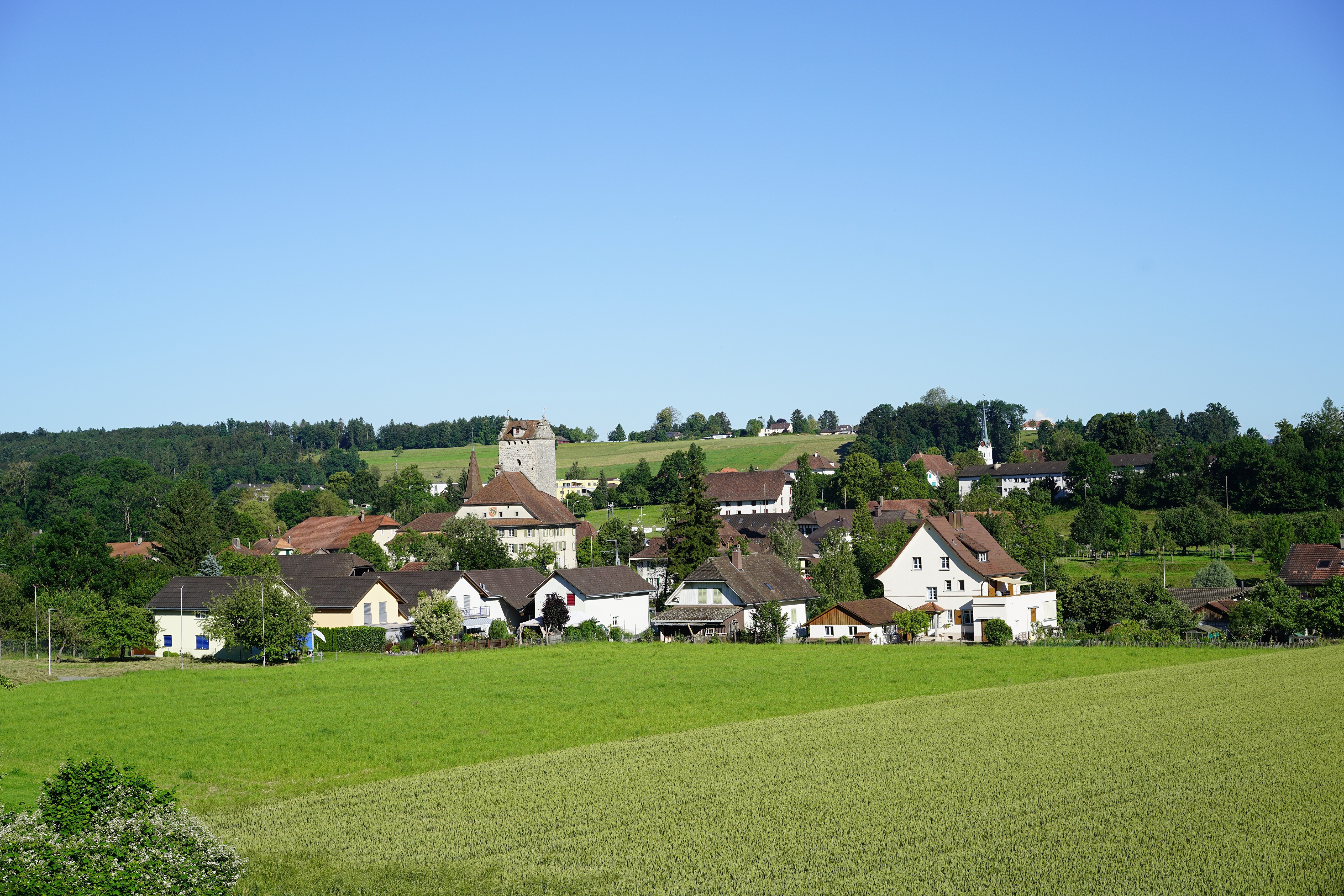 Aarwangen, Canton Bern, Switzerland Village with Fields HD Wallpaper