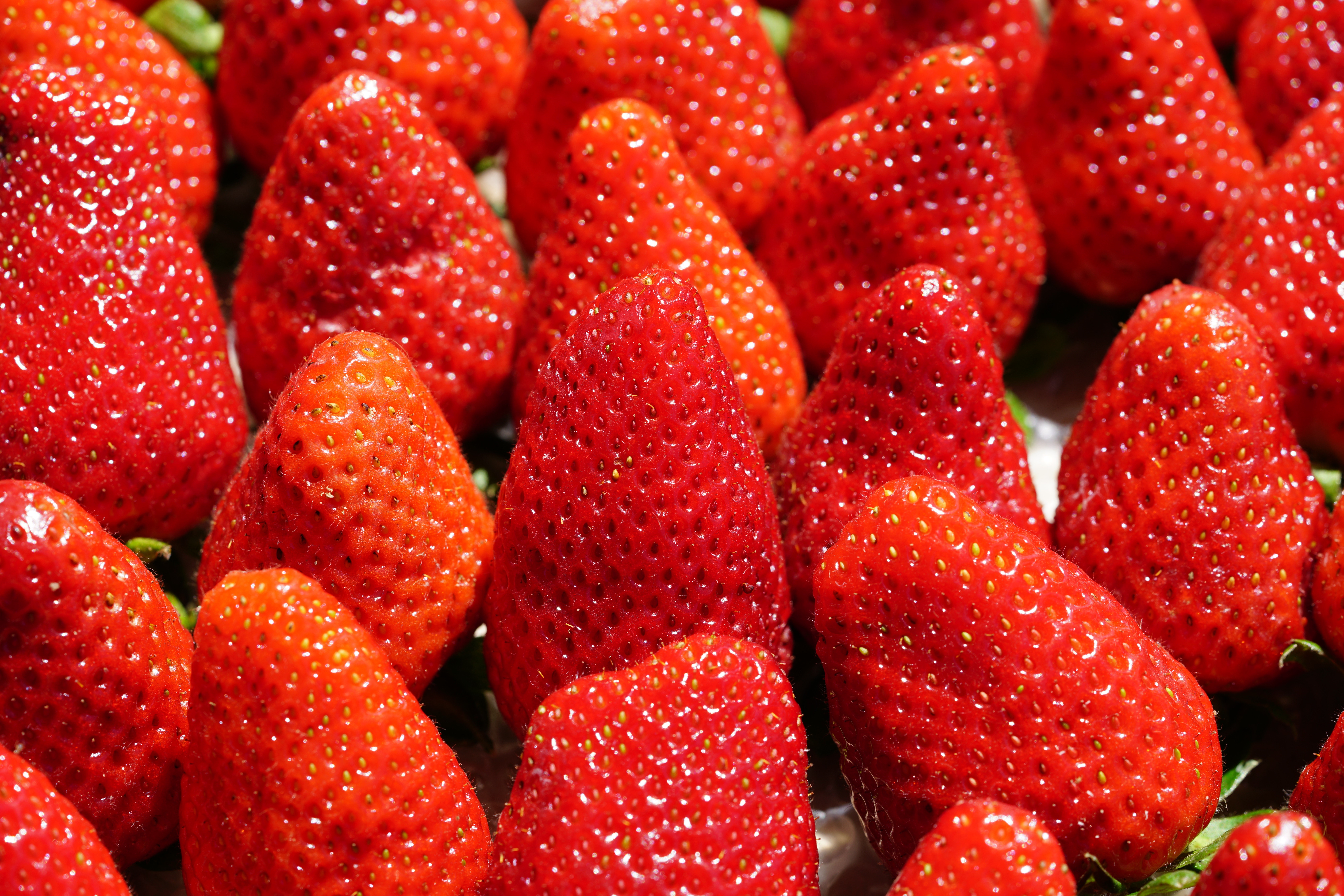 Many Strawberries Closeup HD Wallpaper