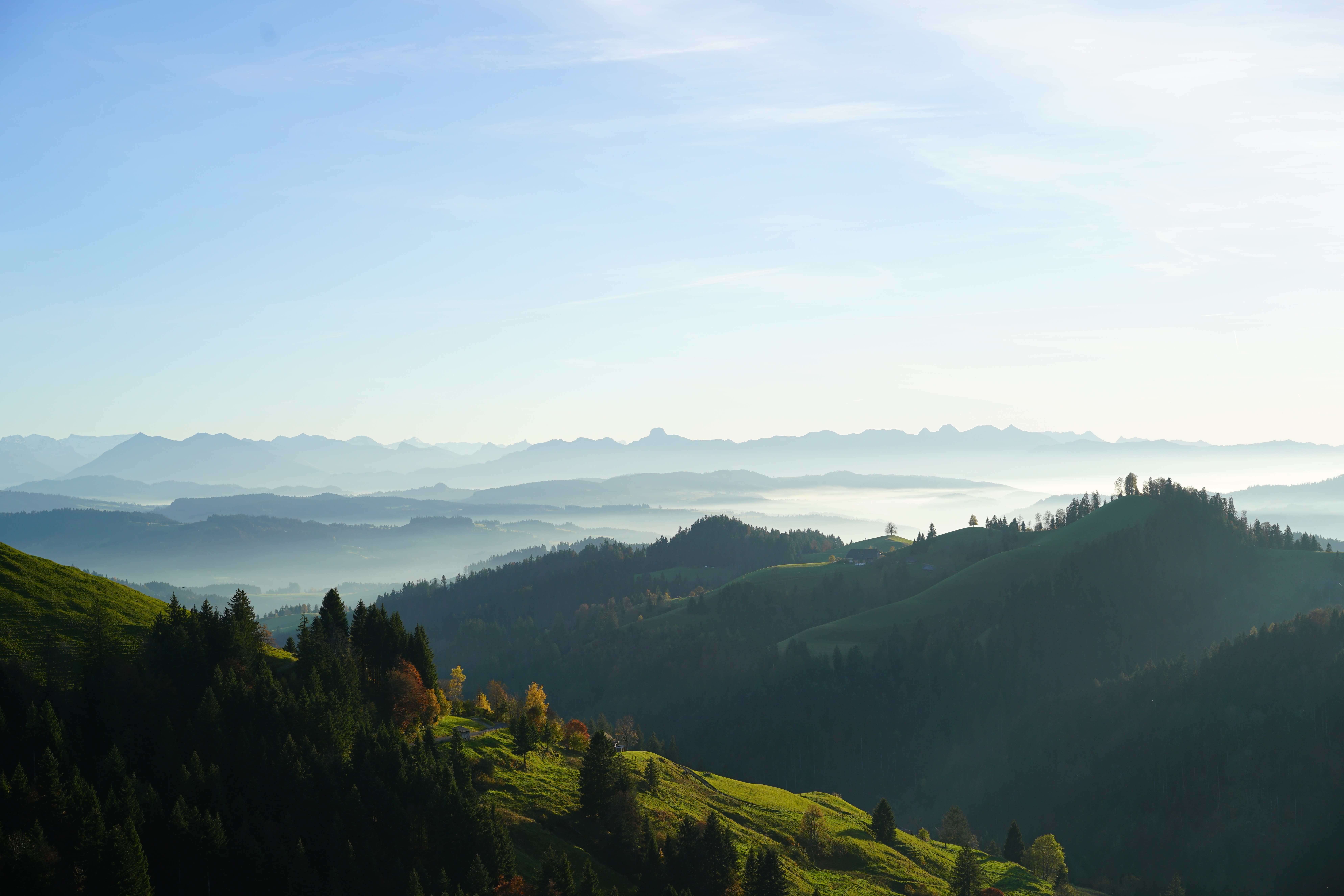 Misty Mountains and Forests in Switzerland HD Wallpaper