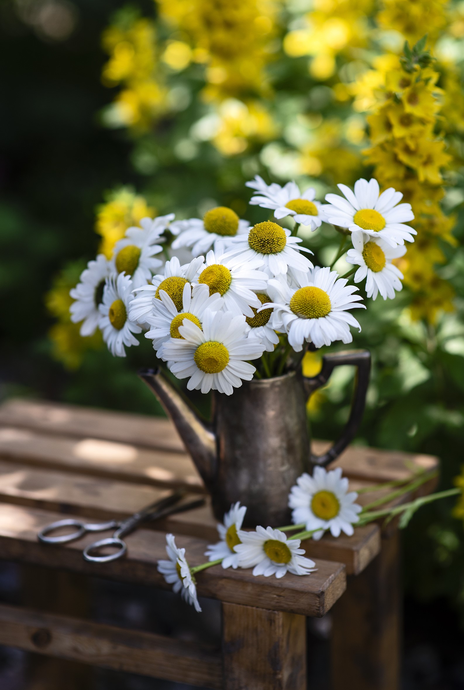Bouquet of daisies in a metal vase on a wooden table HD Phone Wallpaper