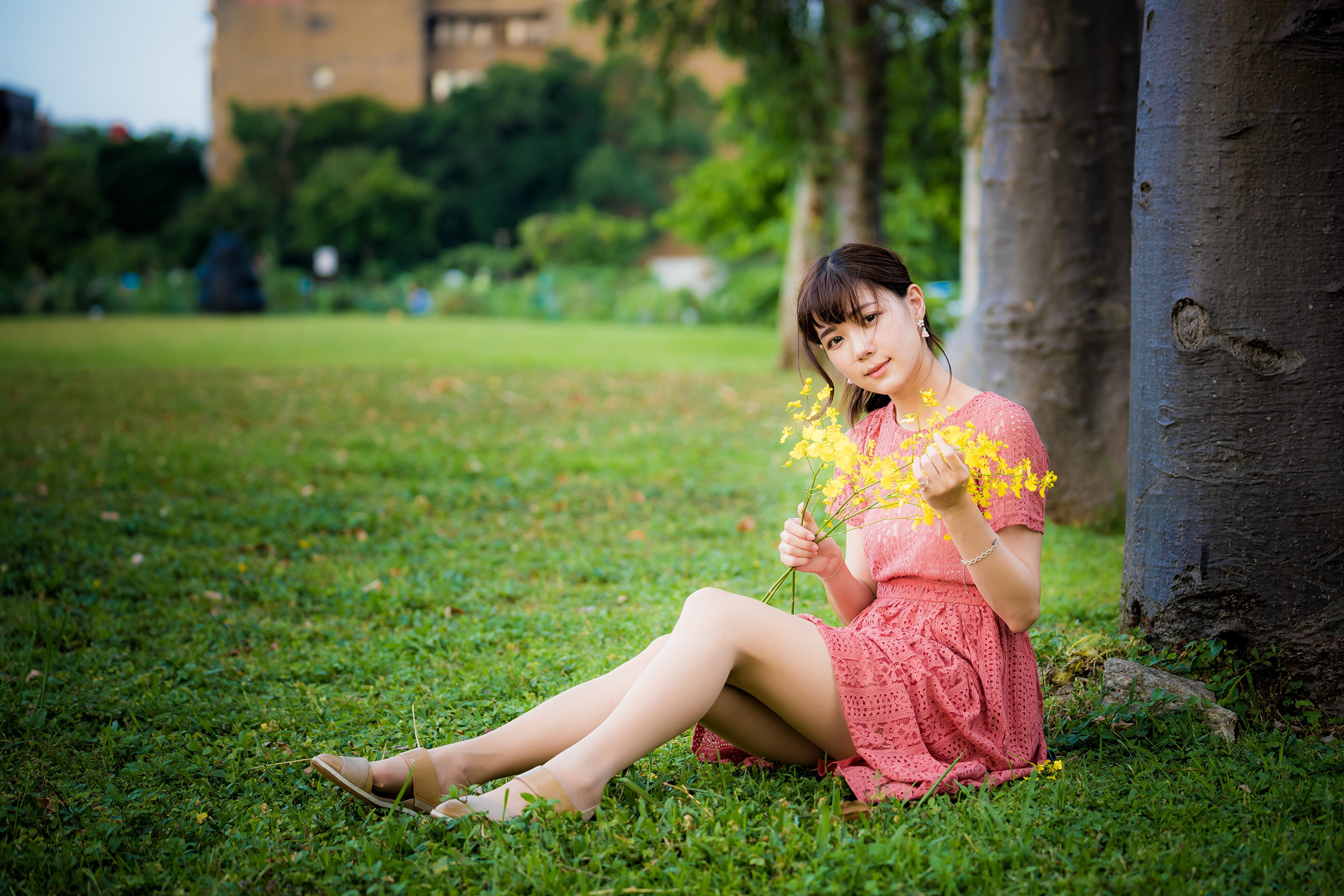 Asian woman sitting on grass with yellow flowers HD Wallpaper