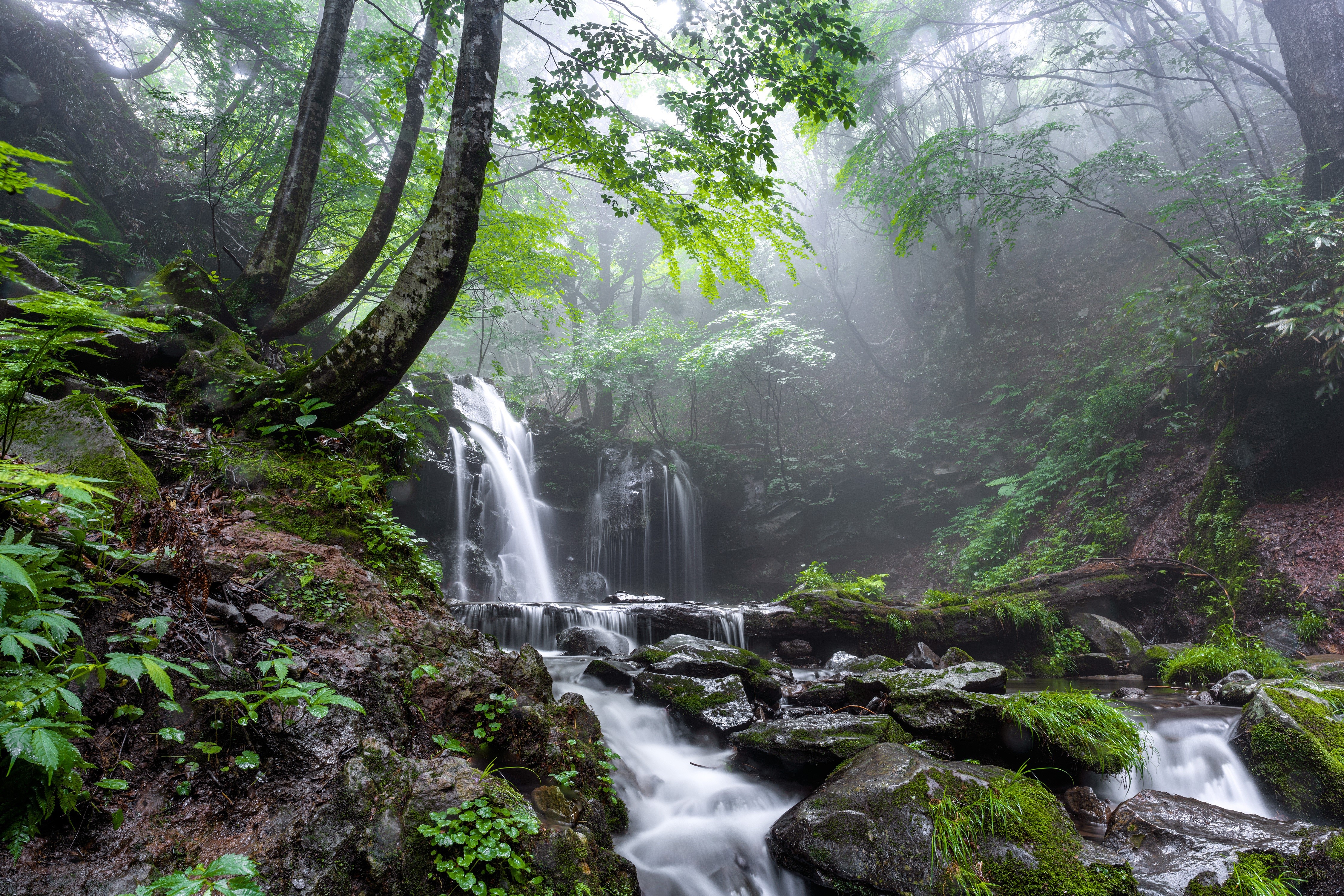 Waterfall in a Foggy Forest with Mossy Stones HD Wallpaper