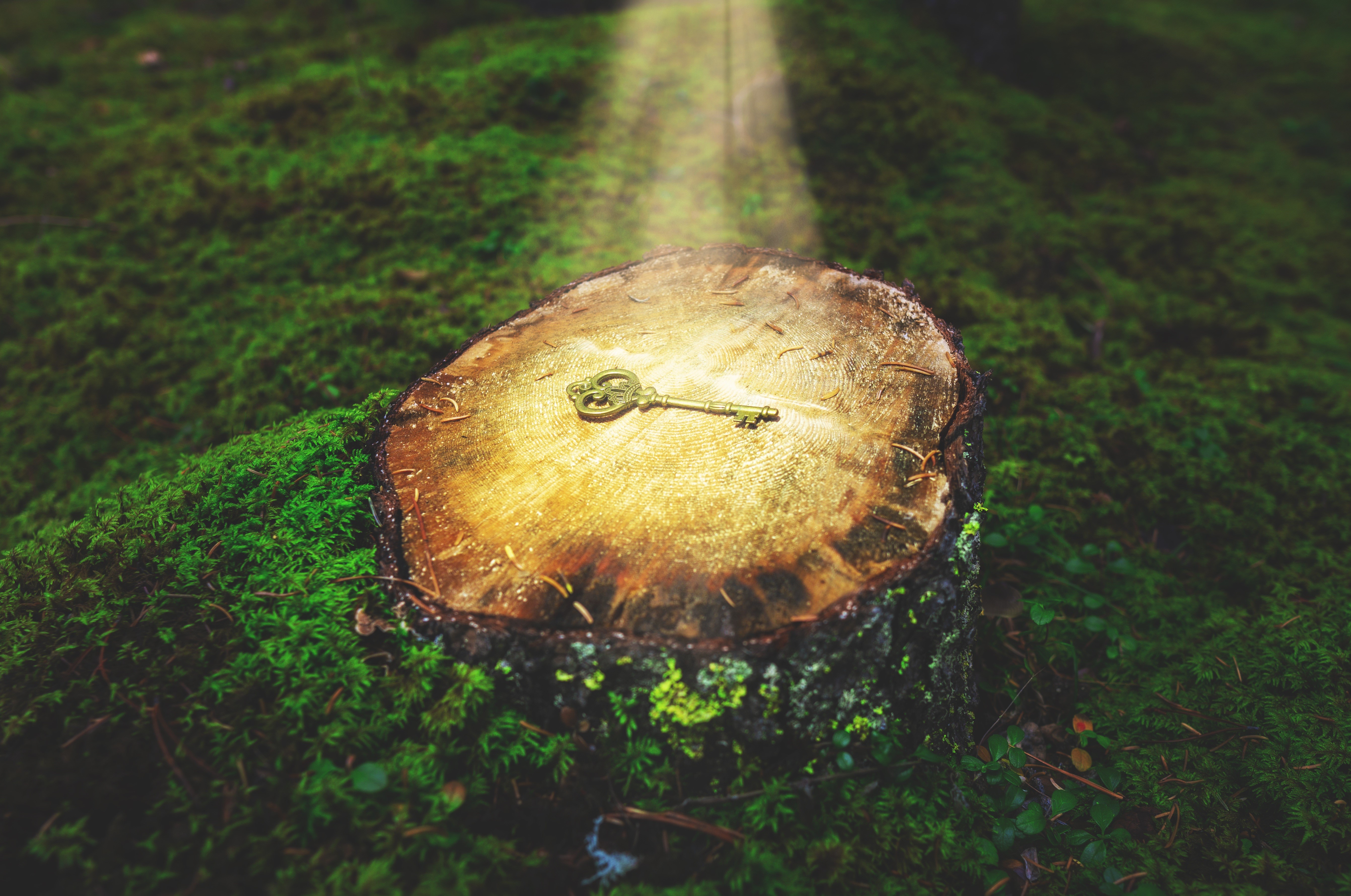 Key on a moss-covered tree stump with light rays HD Wallpaper