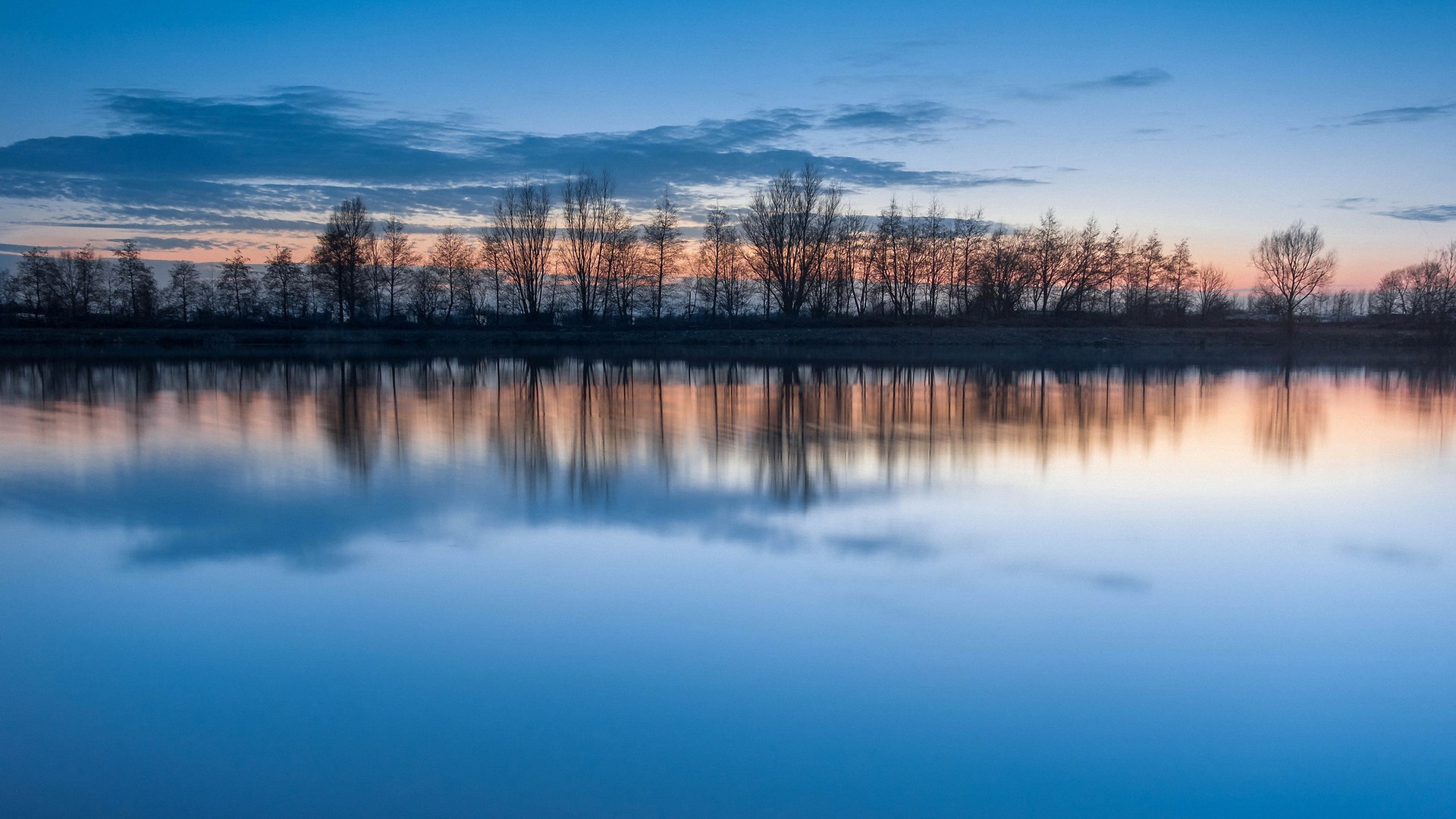 Bare trees reflected in calm water at dusk HD Wallpaper