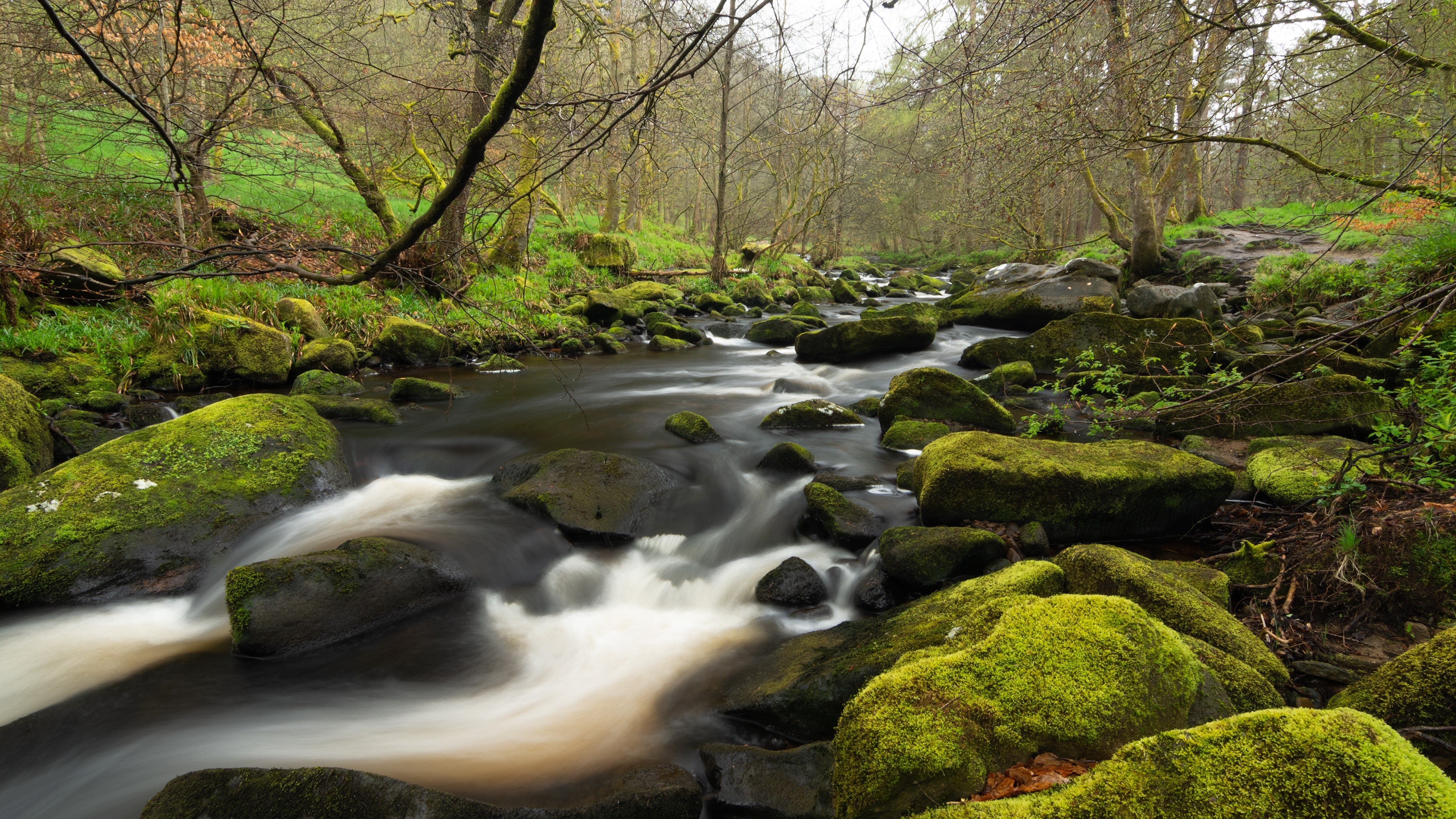 Mossy Stones in a Stream in Yorkshire, England HD Wallpaper