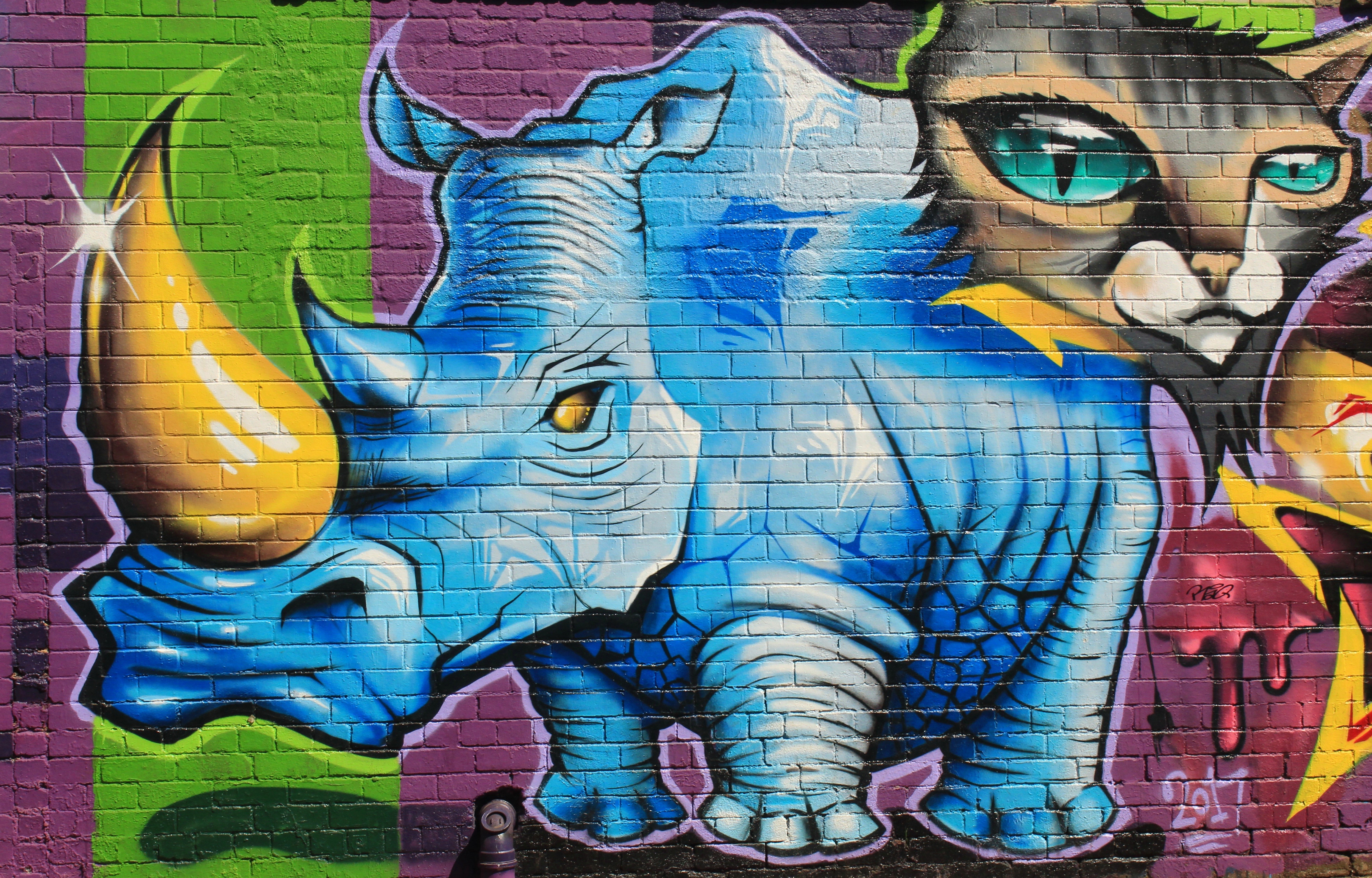 Graffiti of a Rhino and Cat on a Brick Wall HD Wallpaper