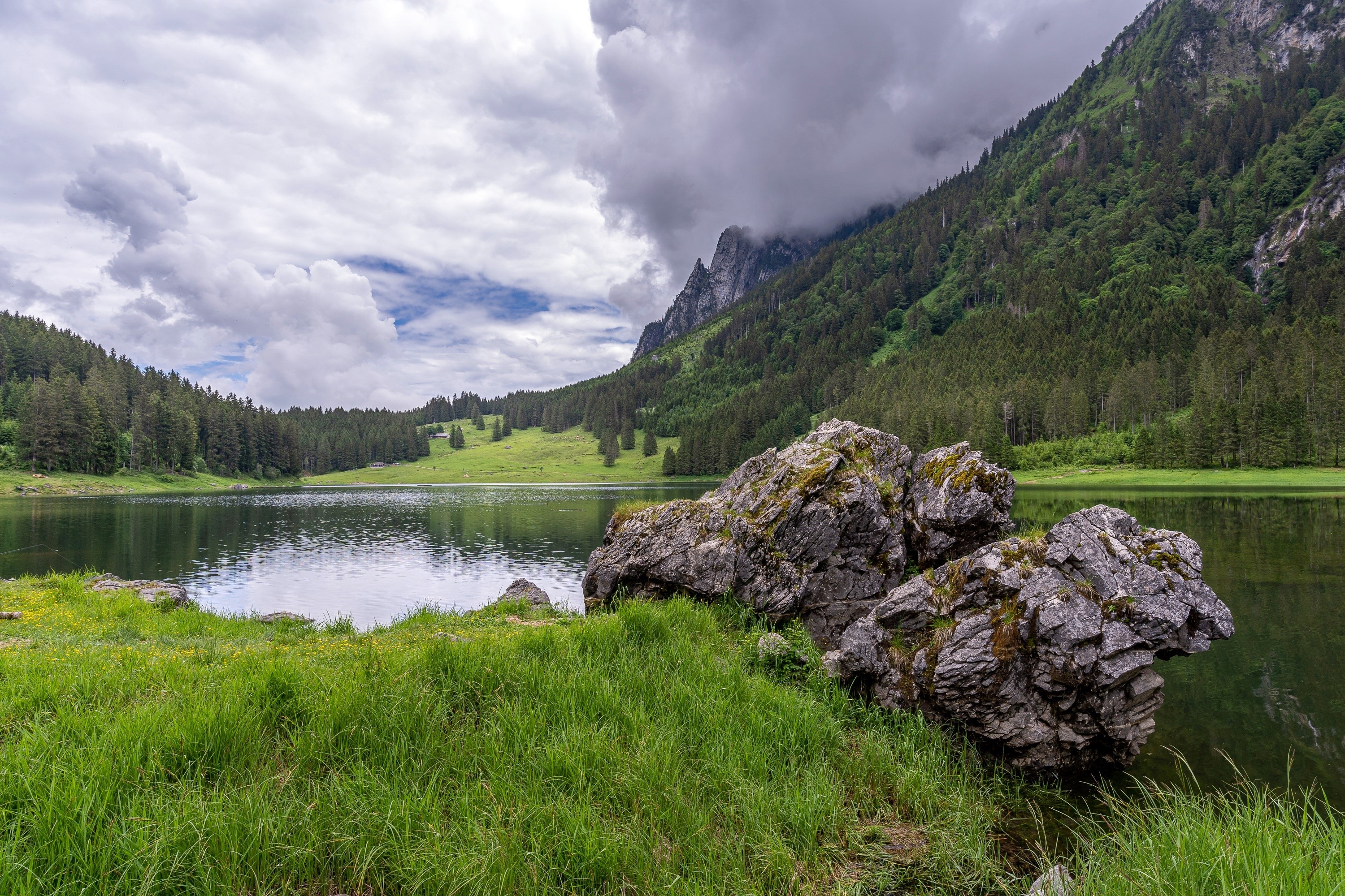 Voralpsee Lake with Mountains and Forests in St. Gallen, Switzerland HD Wallpaper