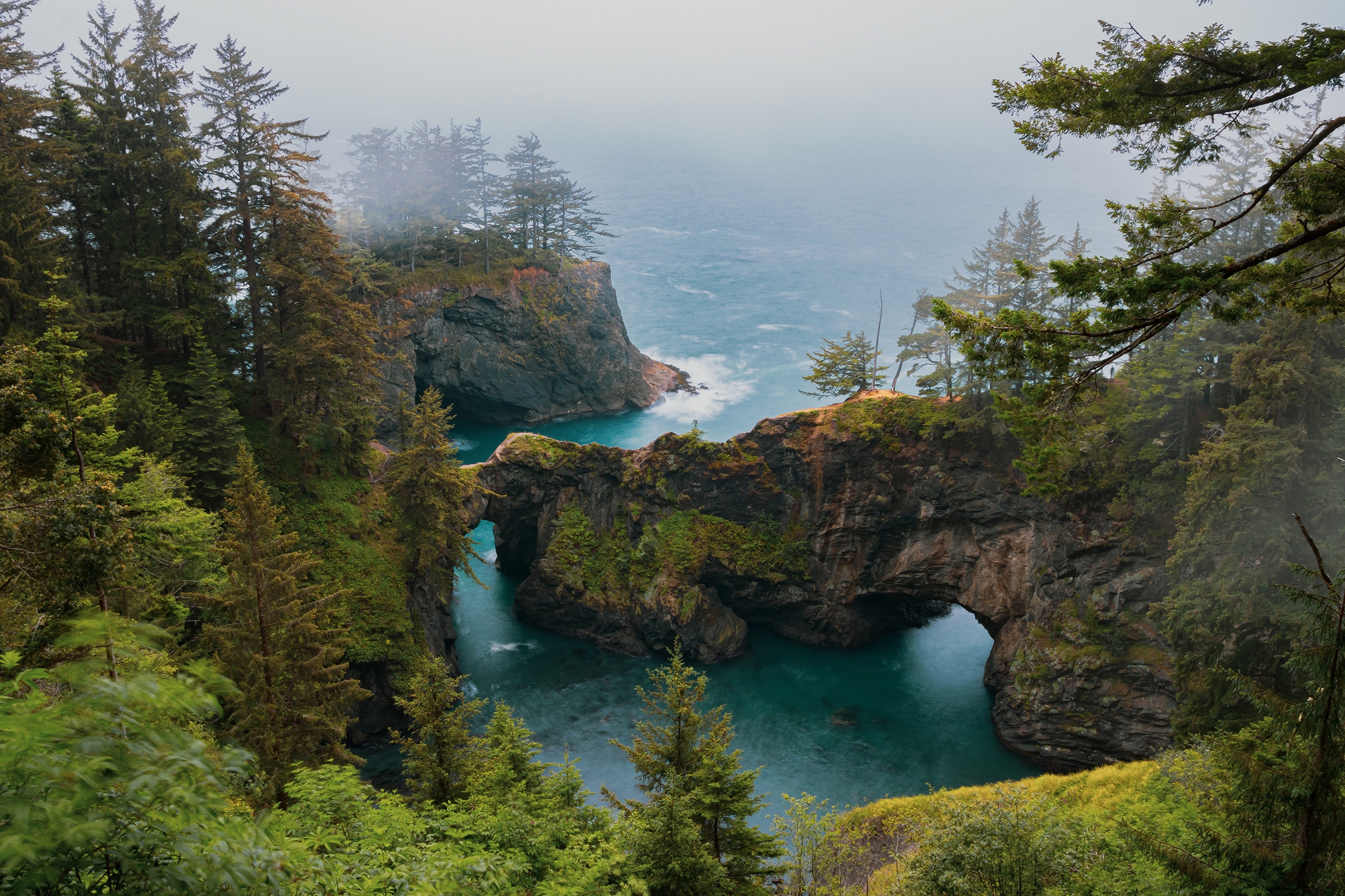 4K Misty Coastline with Rocky Crags and Trees in USA HD Wallpaper