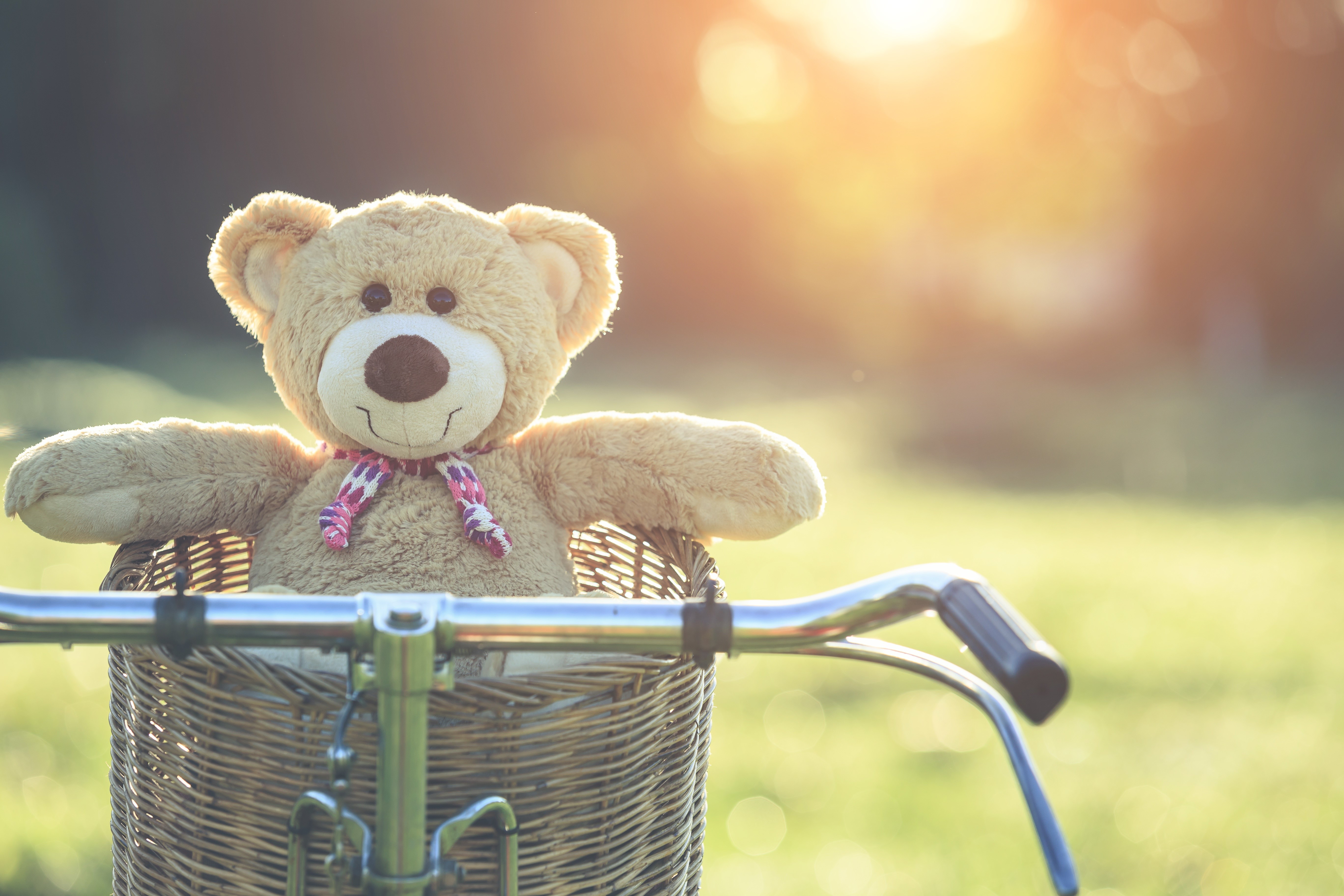 Teddy bear in a wicker basket on a bicycle HD Wallpaper