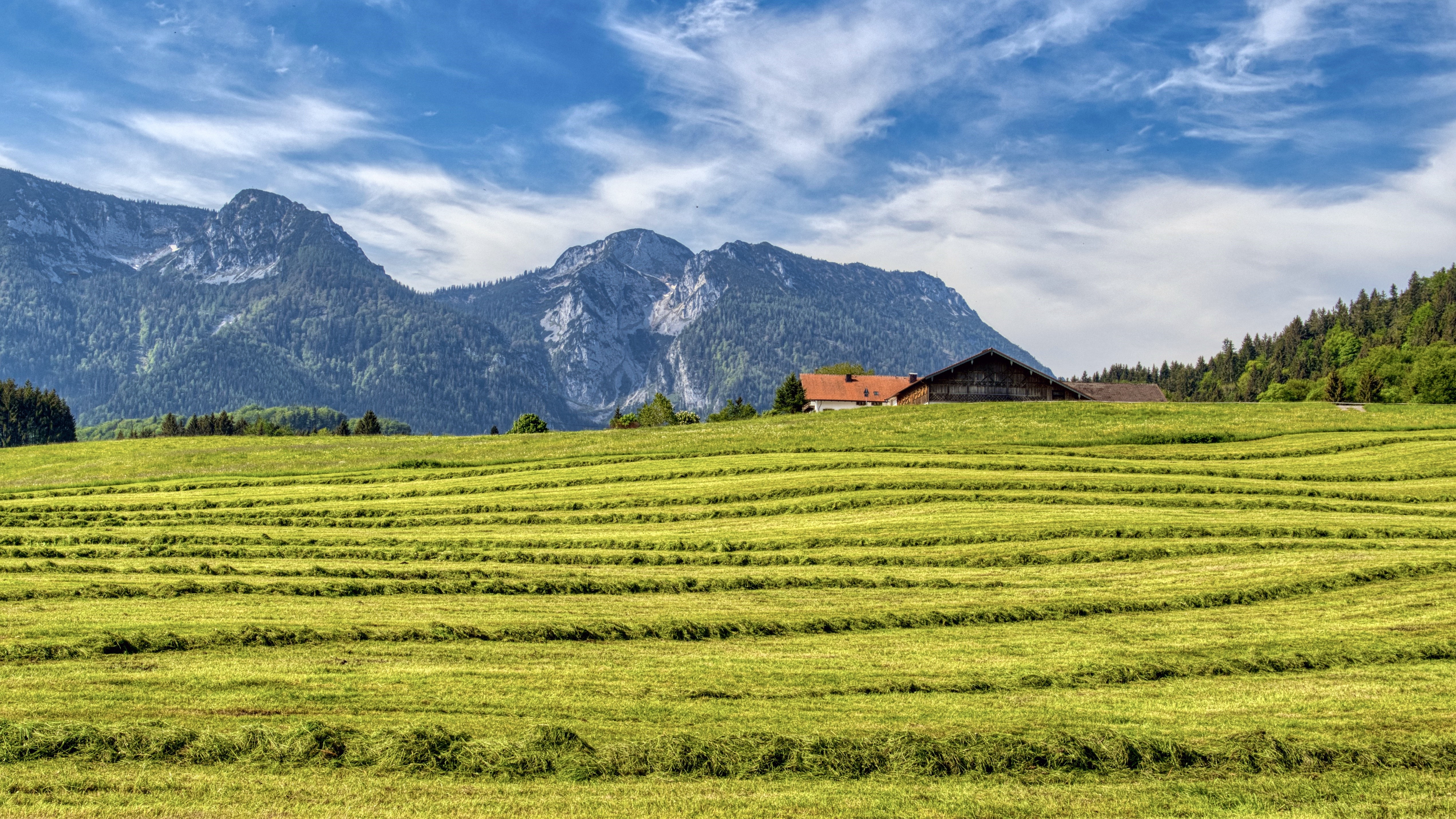 Hay Field and Mountains in Bavaria, Germany HD Wallpaper