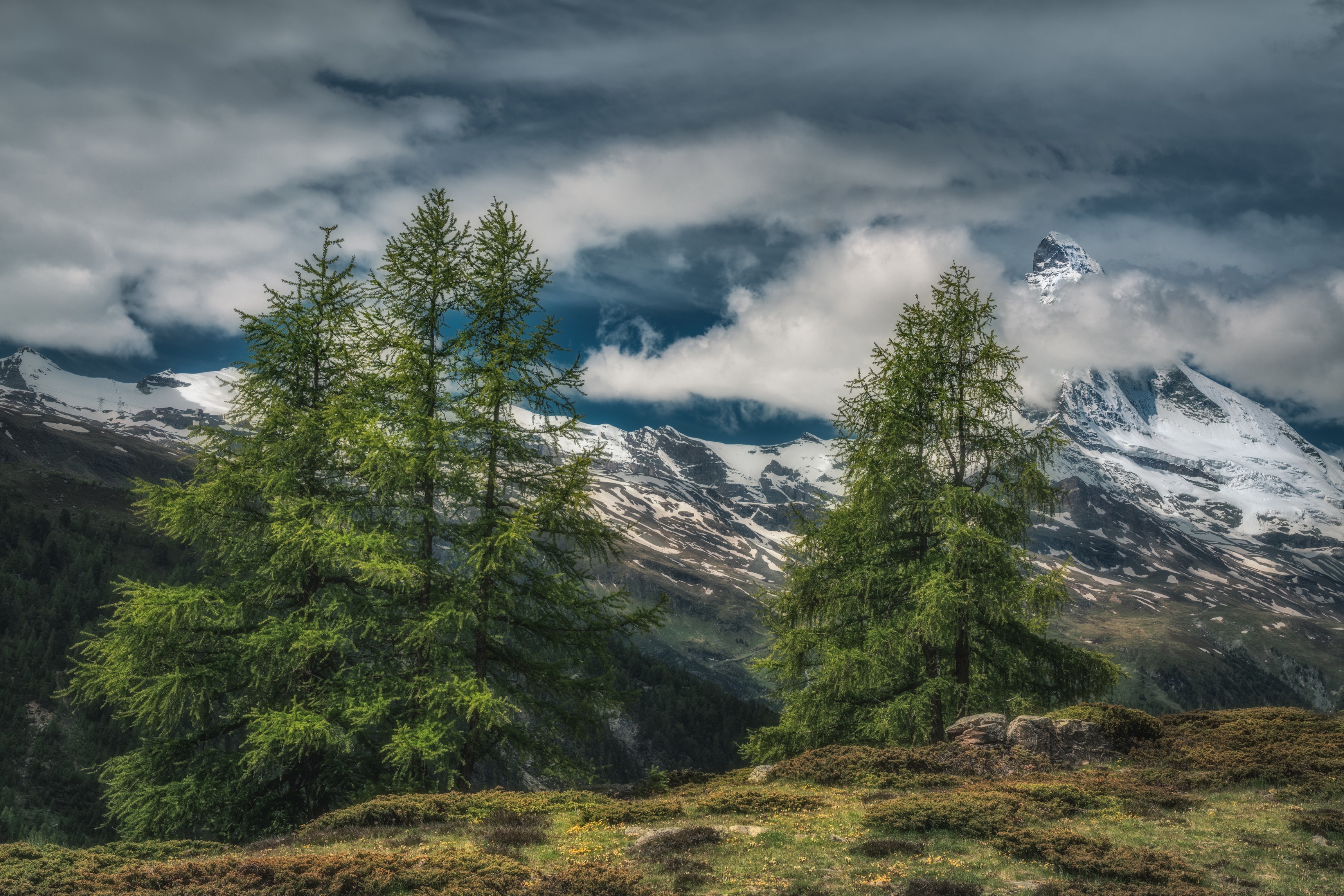 Zermatt, Switzerland Mountains with Spruce Trees and Clouds HD Wallpaper