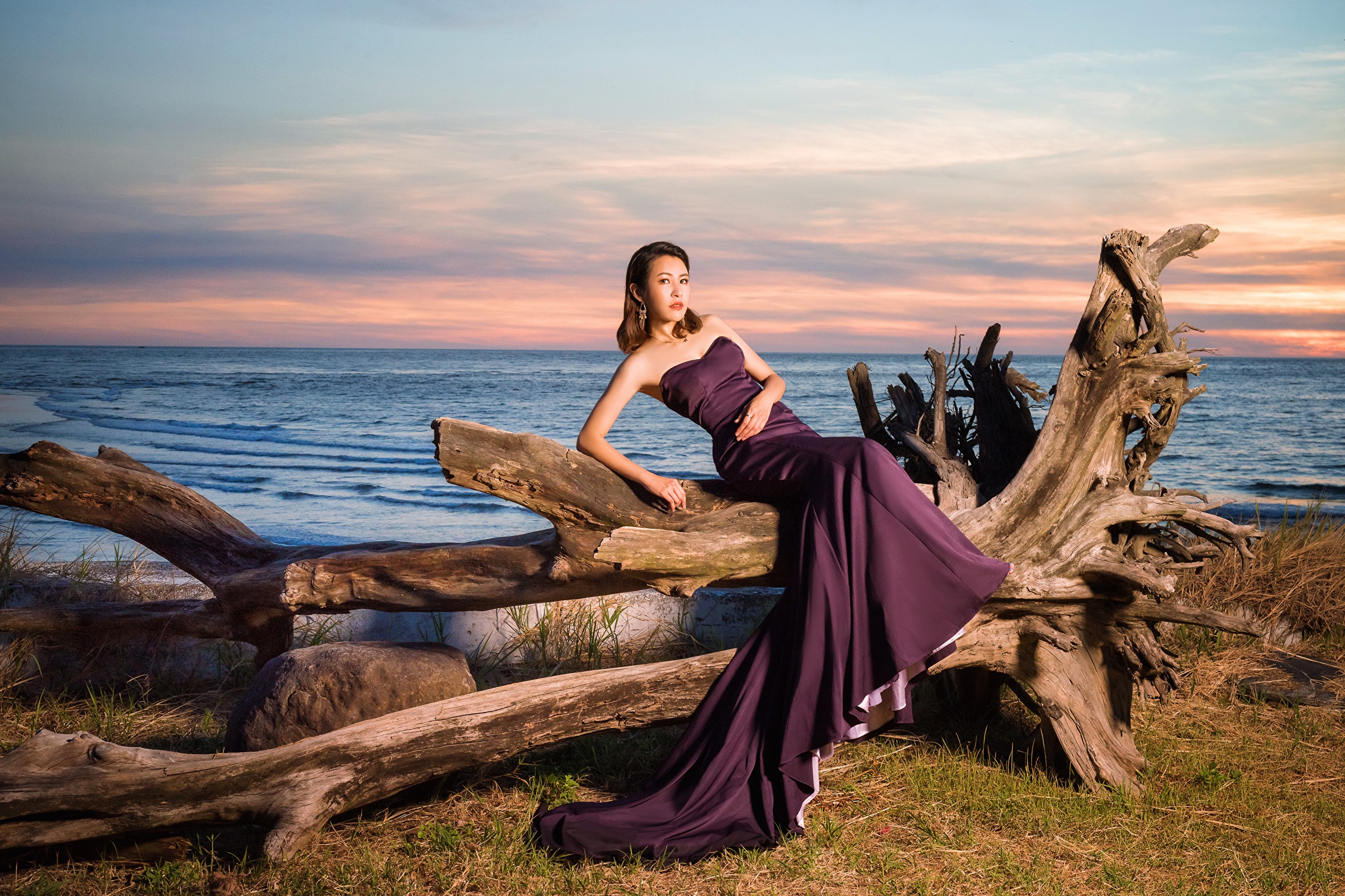 Woman in purple dress on driftwood by the sea HD Wallpaper