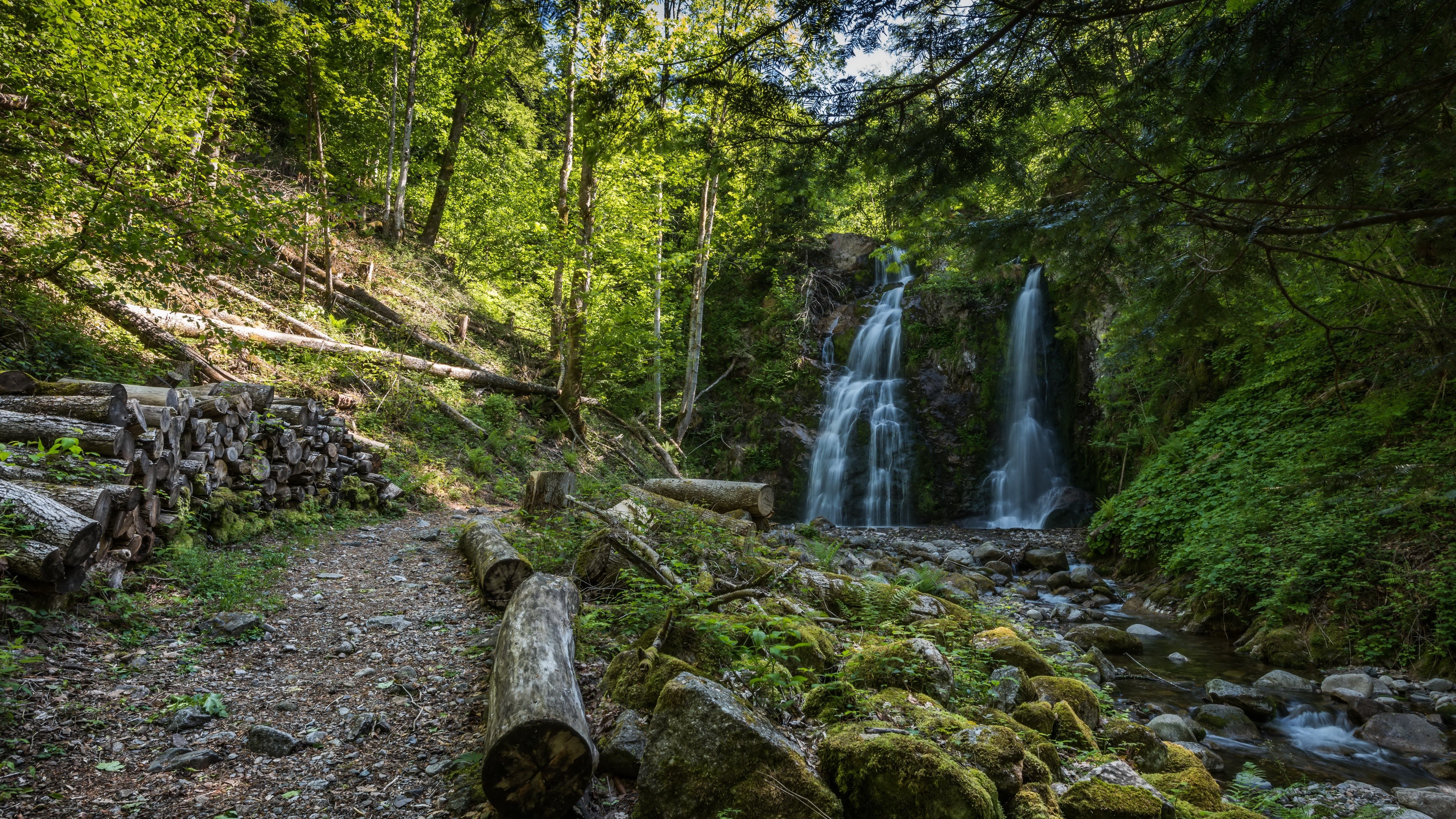 Waterfall in a forest with logs and moss HD Wallpaper