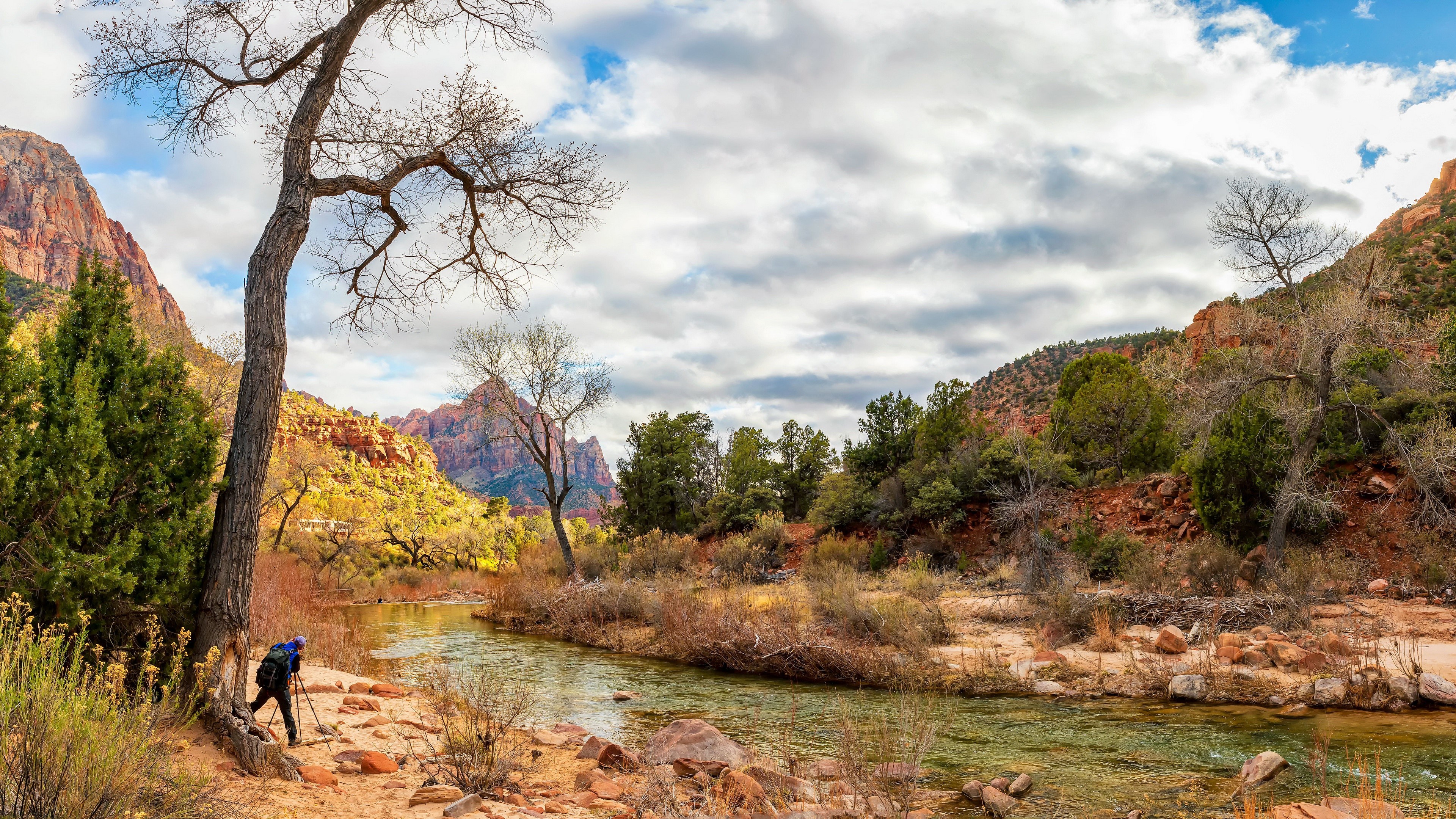 4K Zion National Park River Scenery HD Wallpaper