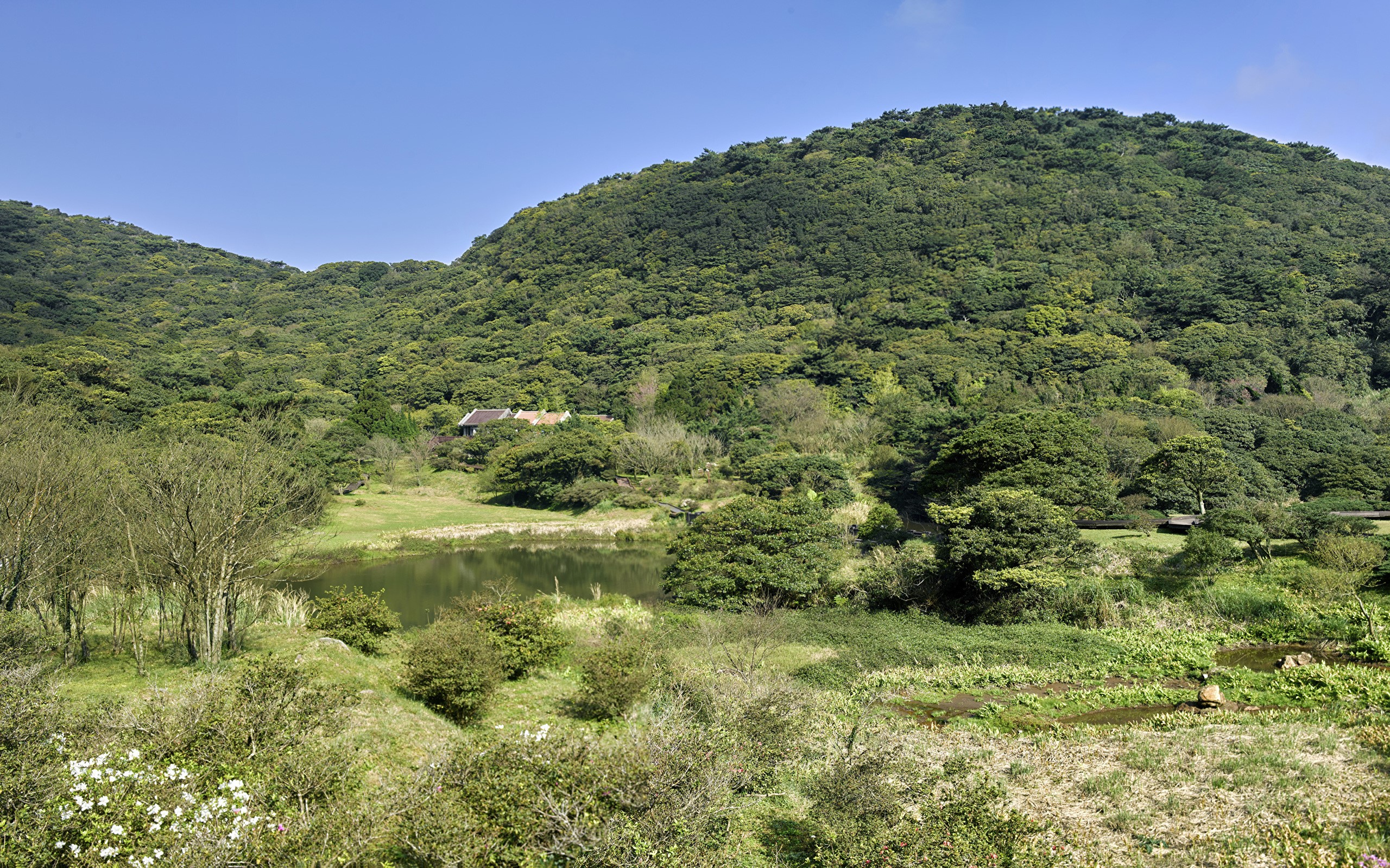 Lake and forest in Sanzhi District, Taiwan HD Wallpaper