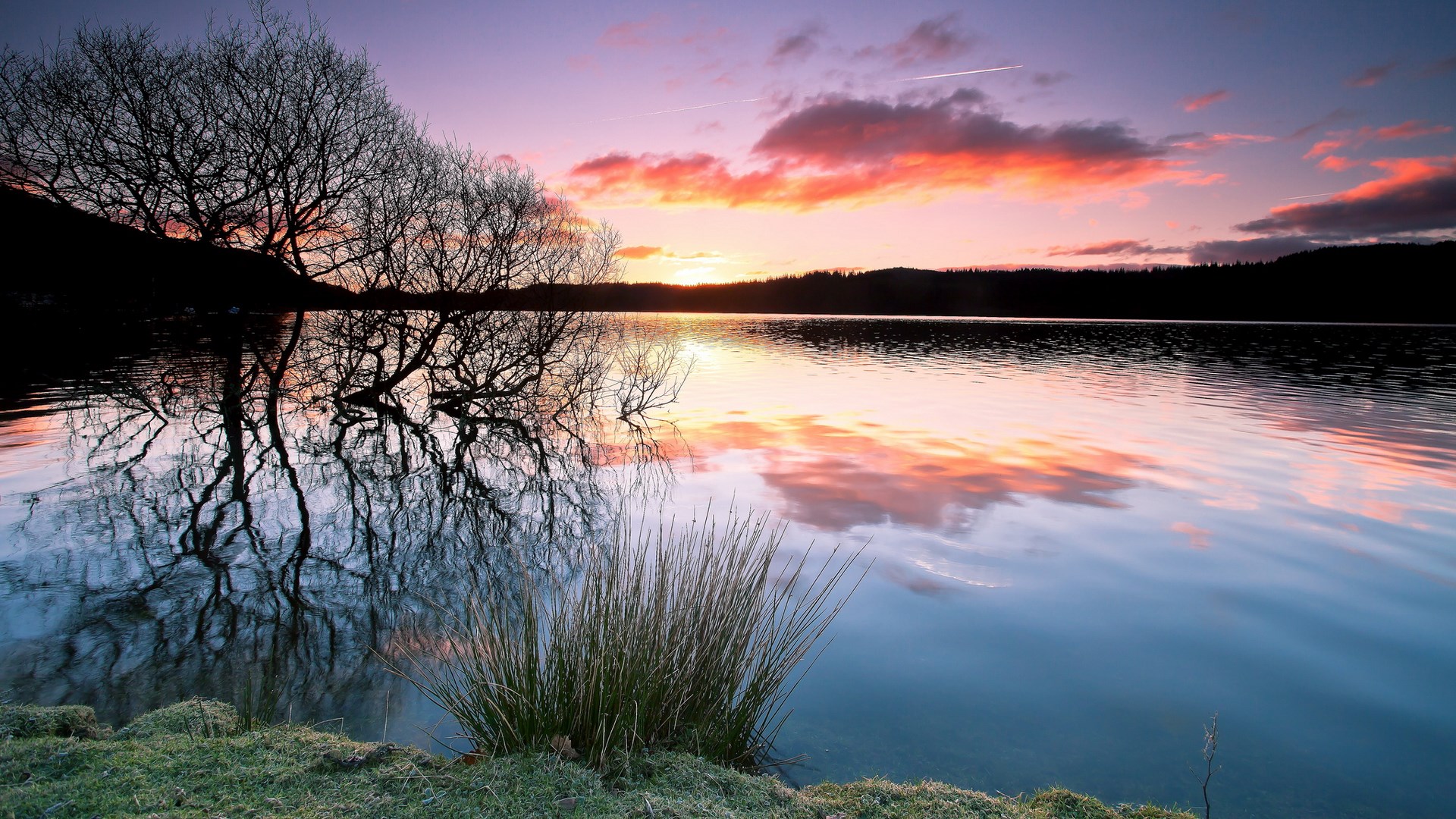 Sunset over a calm lake with silhouetted trees HD Wallpaper