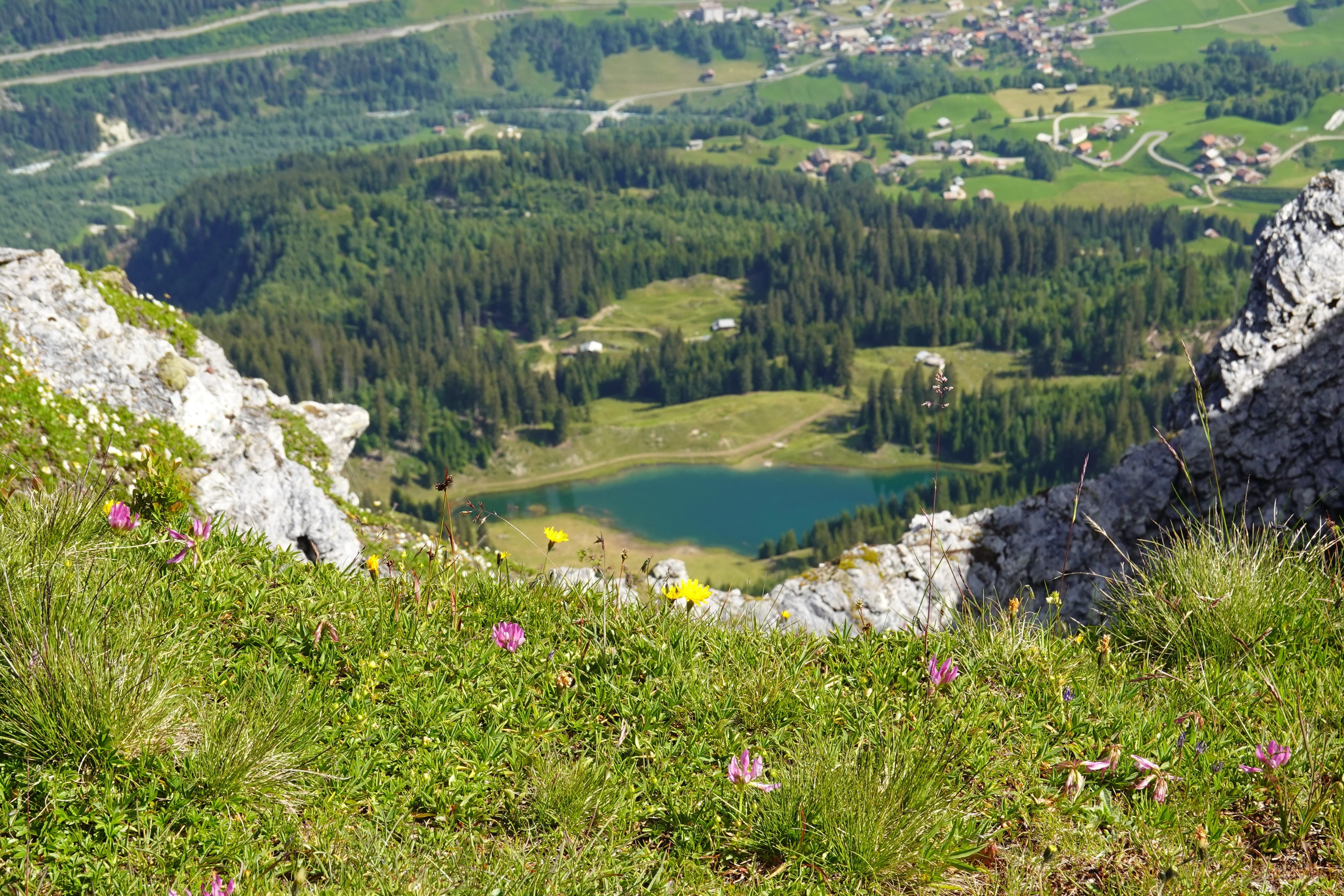 Lake and forest landscape from a rocky mountain HD Wallpaper