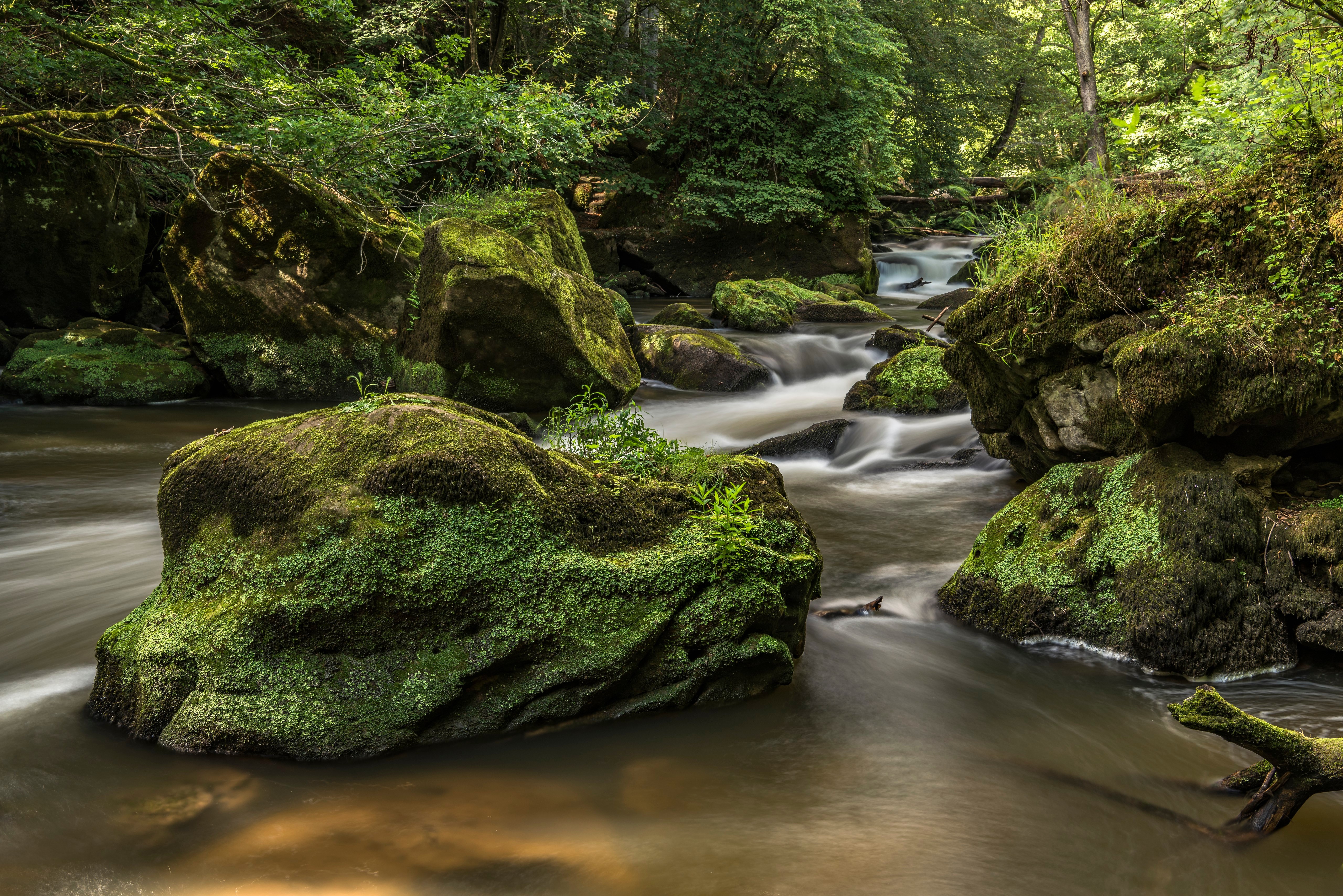 Mossy rocks in a forest stream in Germany HD Wallpaper