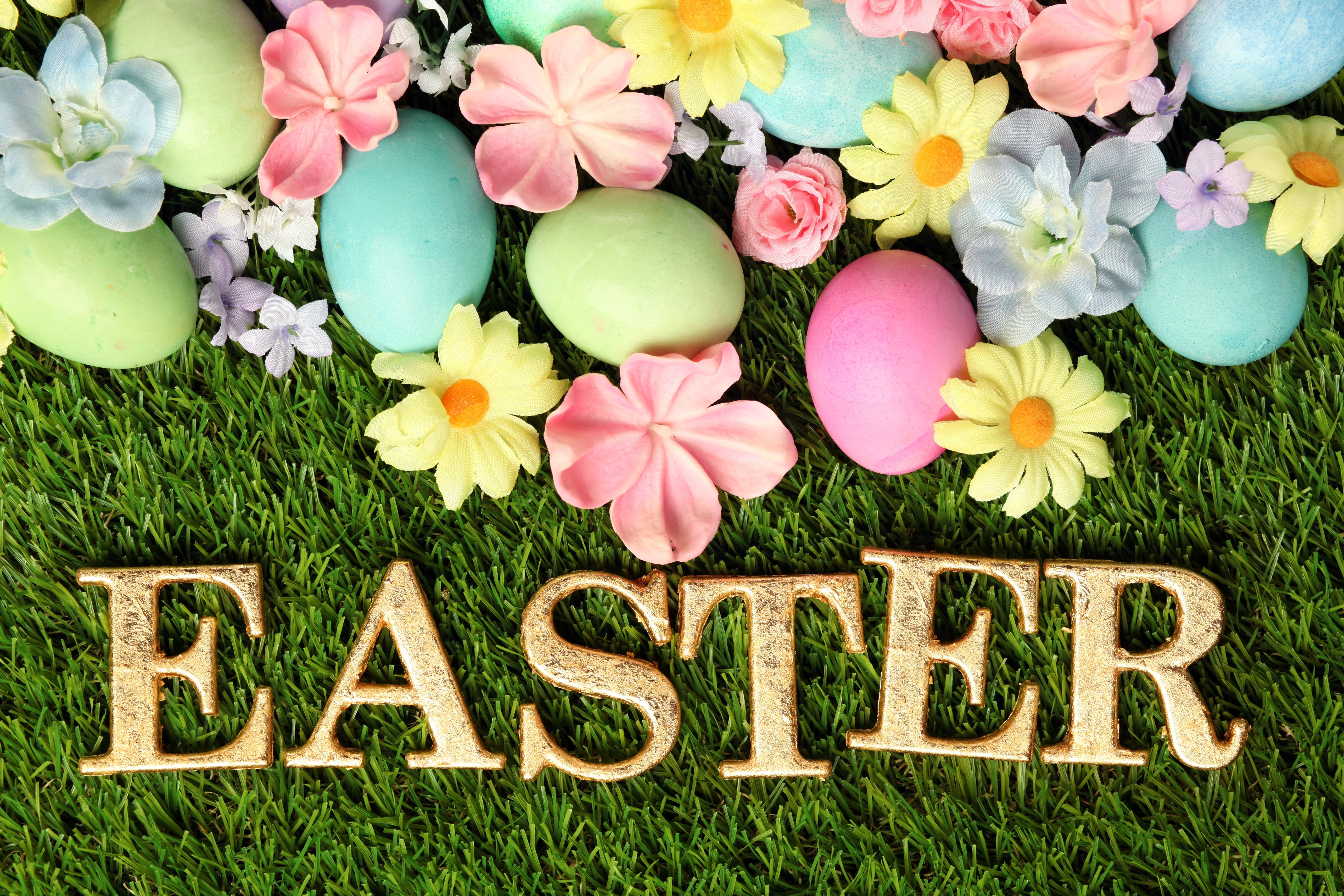 Easter Eggs and Flowers on Grass HD Wallpaper