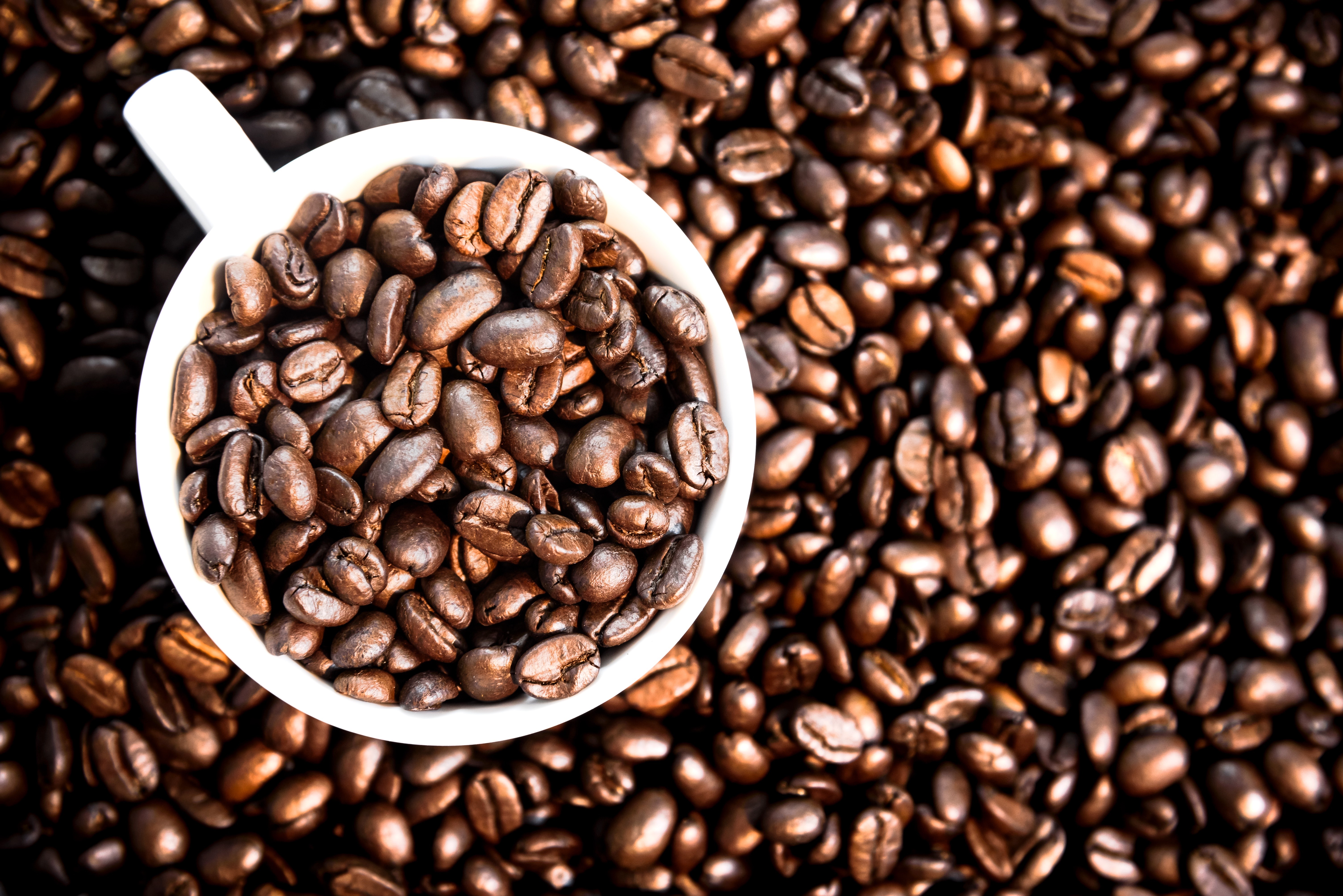 Coffee beans in a white cup HD Wallpaper